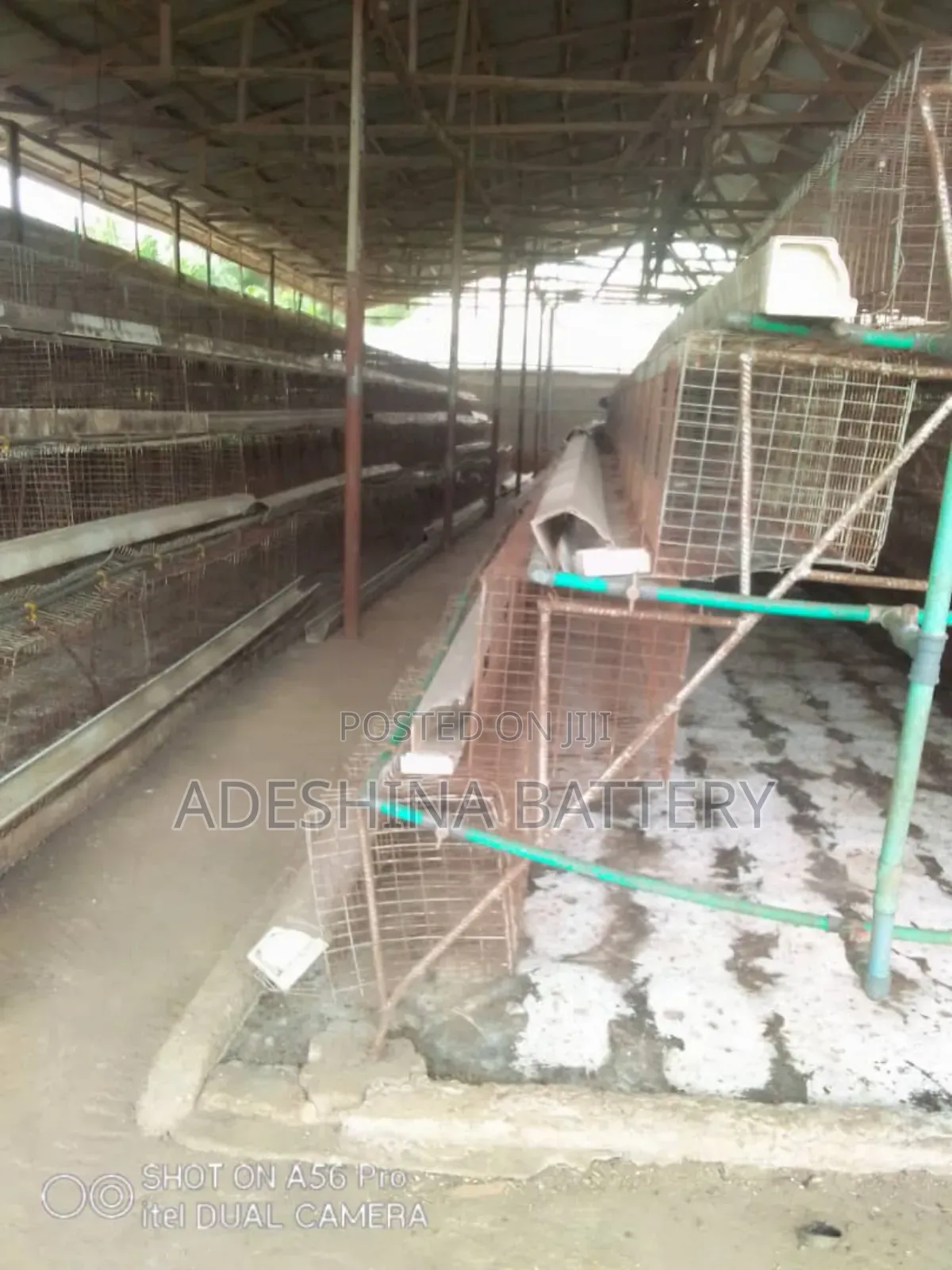 Used Battery Cages for Your Chicken