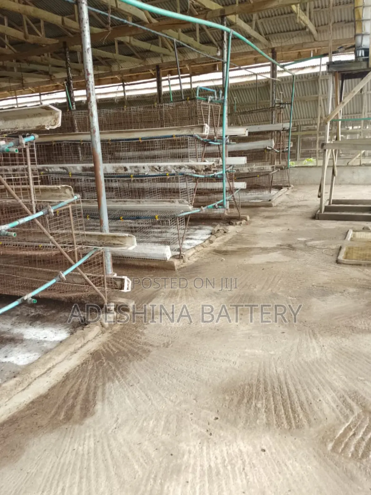 Used Battery Cages for Your Chicken