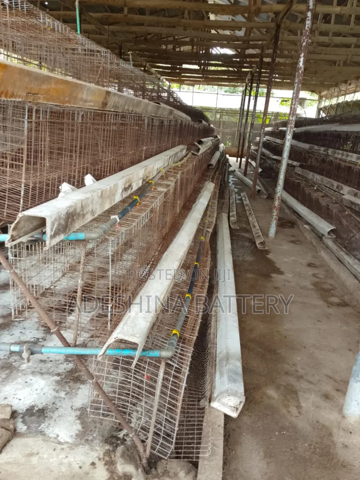 Used Battery Cages for Your Chicken
