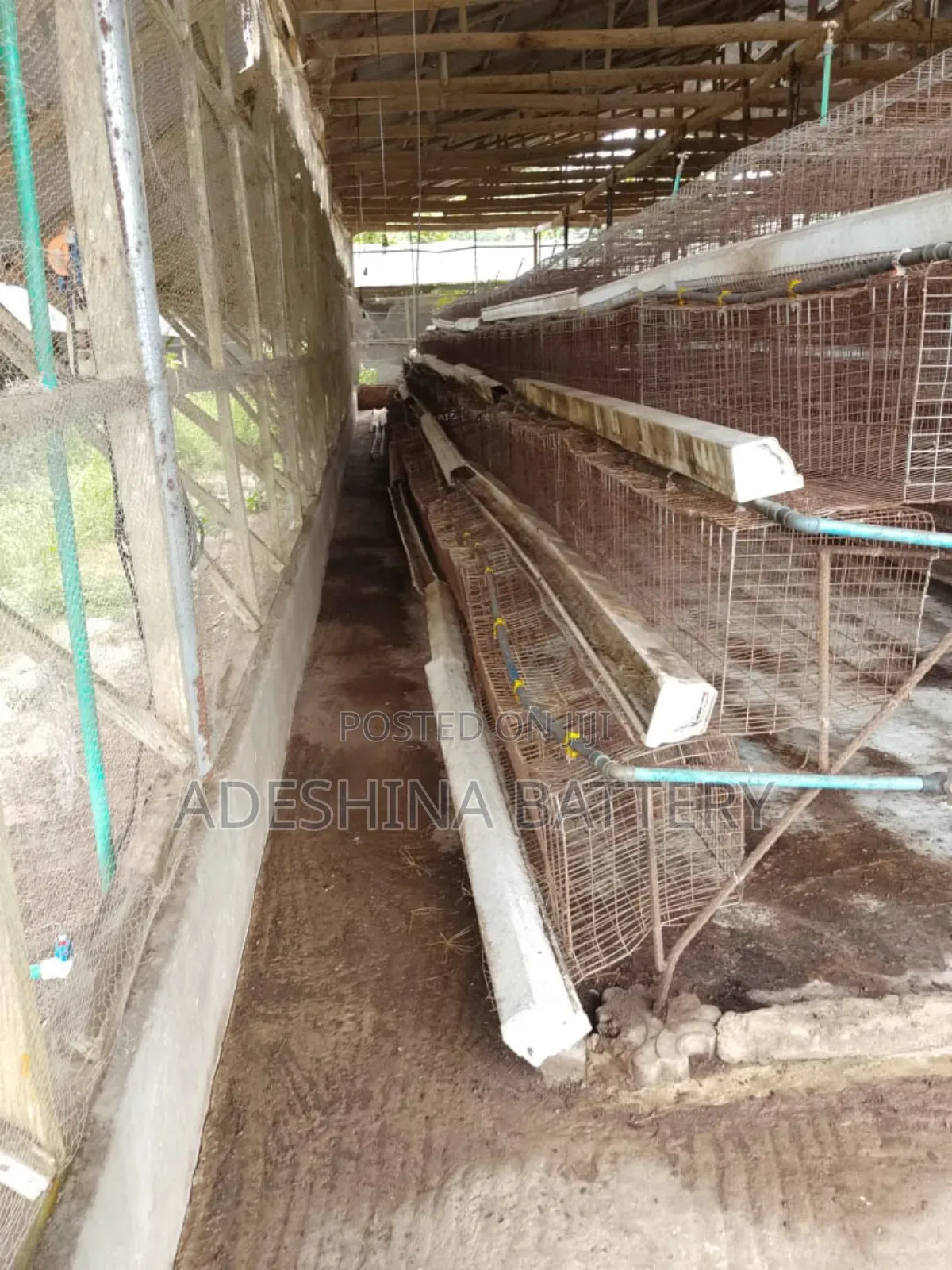 Fairly Used Cages Complete Materials