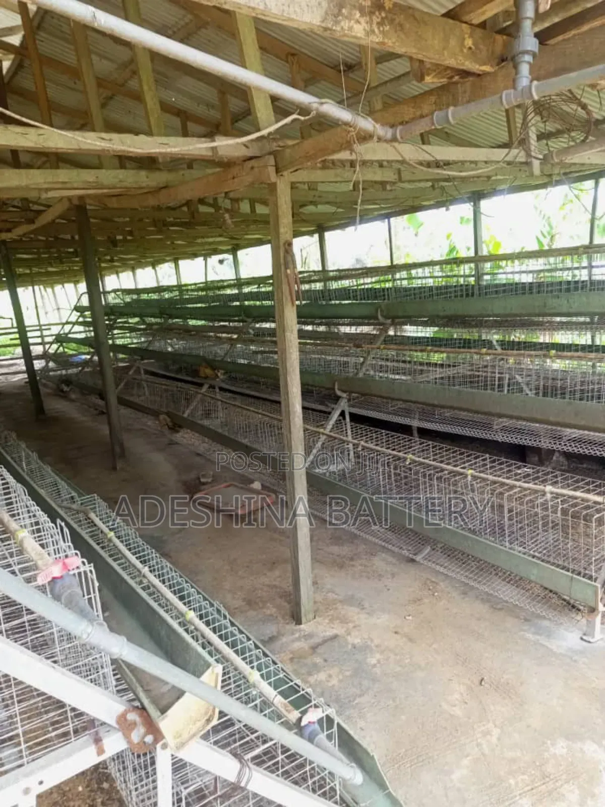 Fairly Used Cages Complete Materials