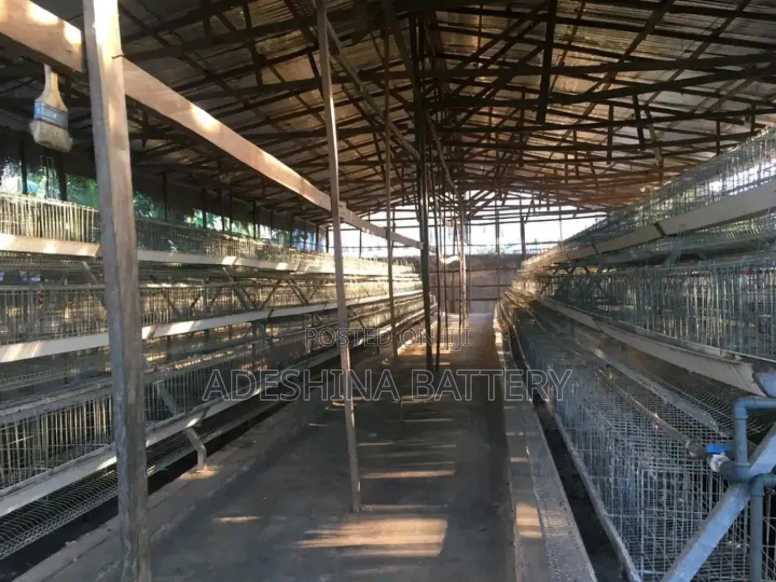 New Local Fabricated Cages and Complete Accessories
