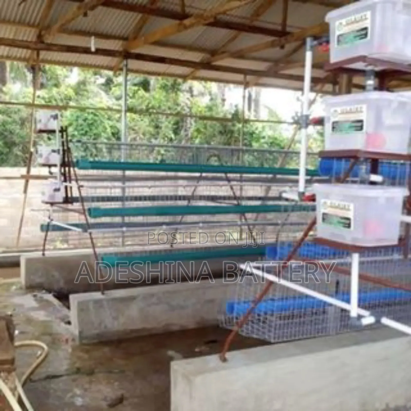 New Local Fabricated Cages and Complete Accessories
