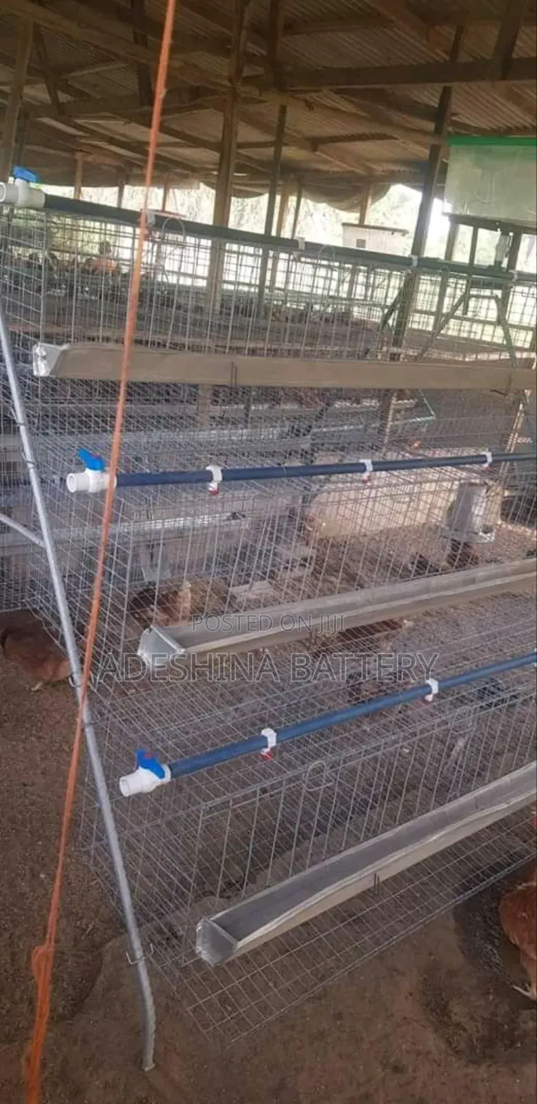 New Local Fabricated Cages and Complete Accessories