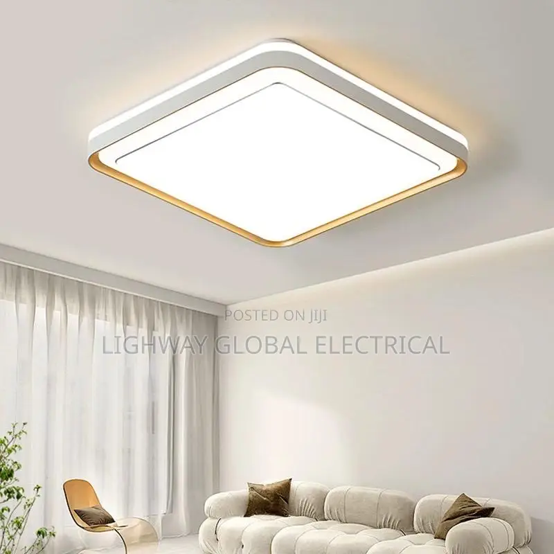 Simple Luxury Led Ceiling Fitting