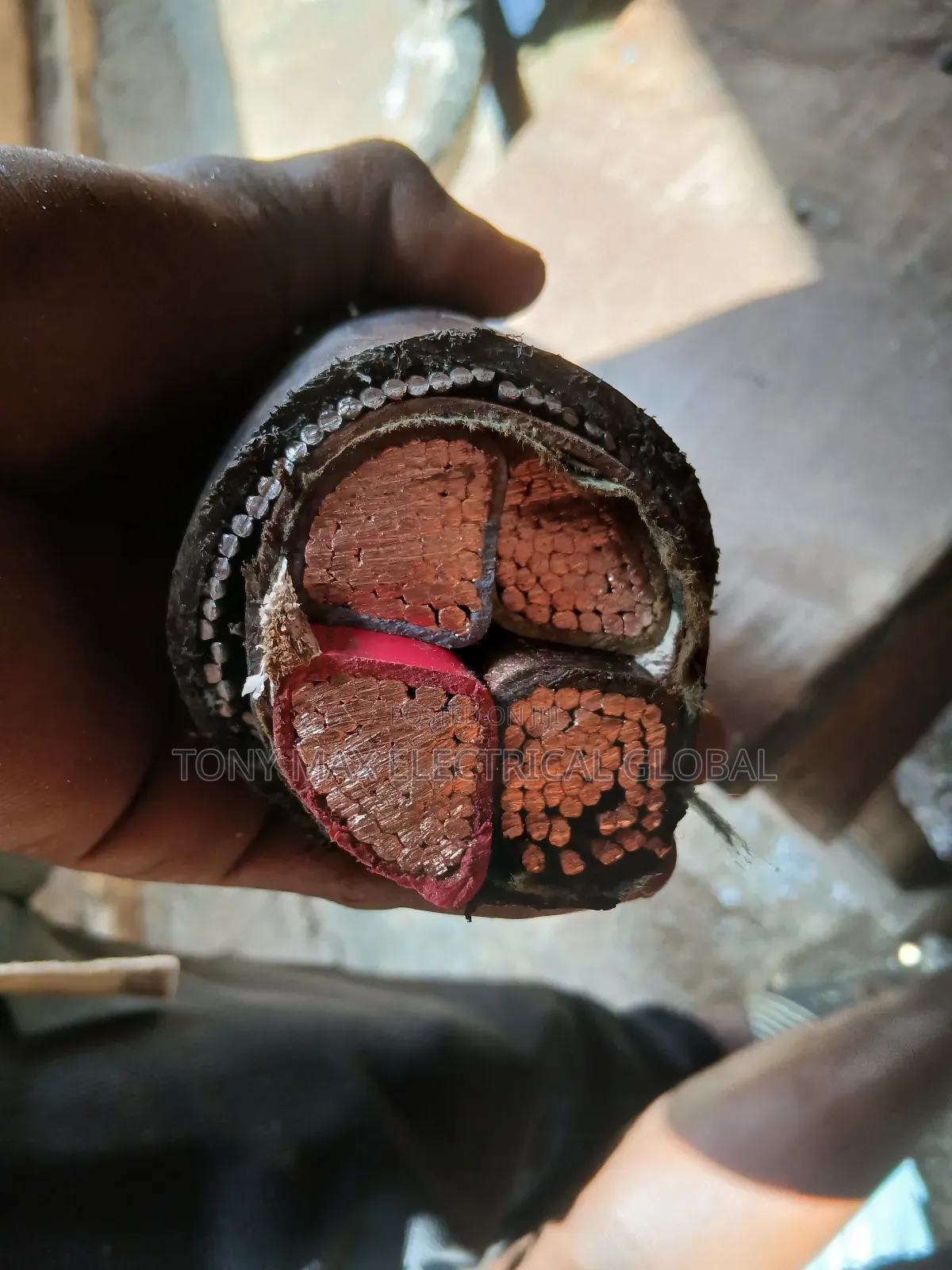 300mm 4core Armoured Cable Full Gauge Coleman