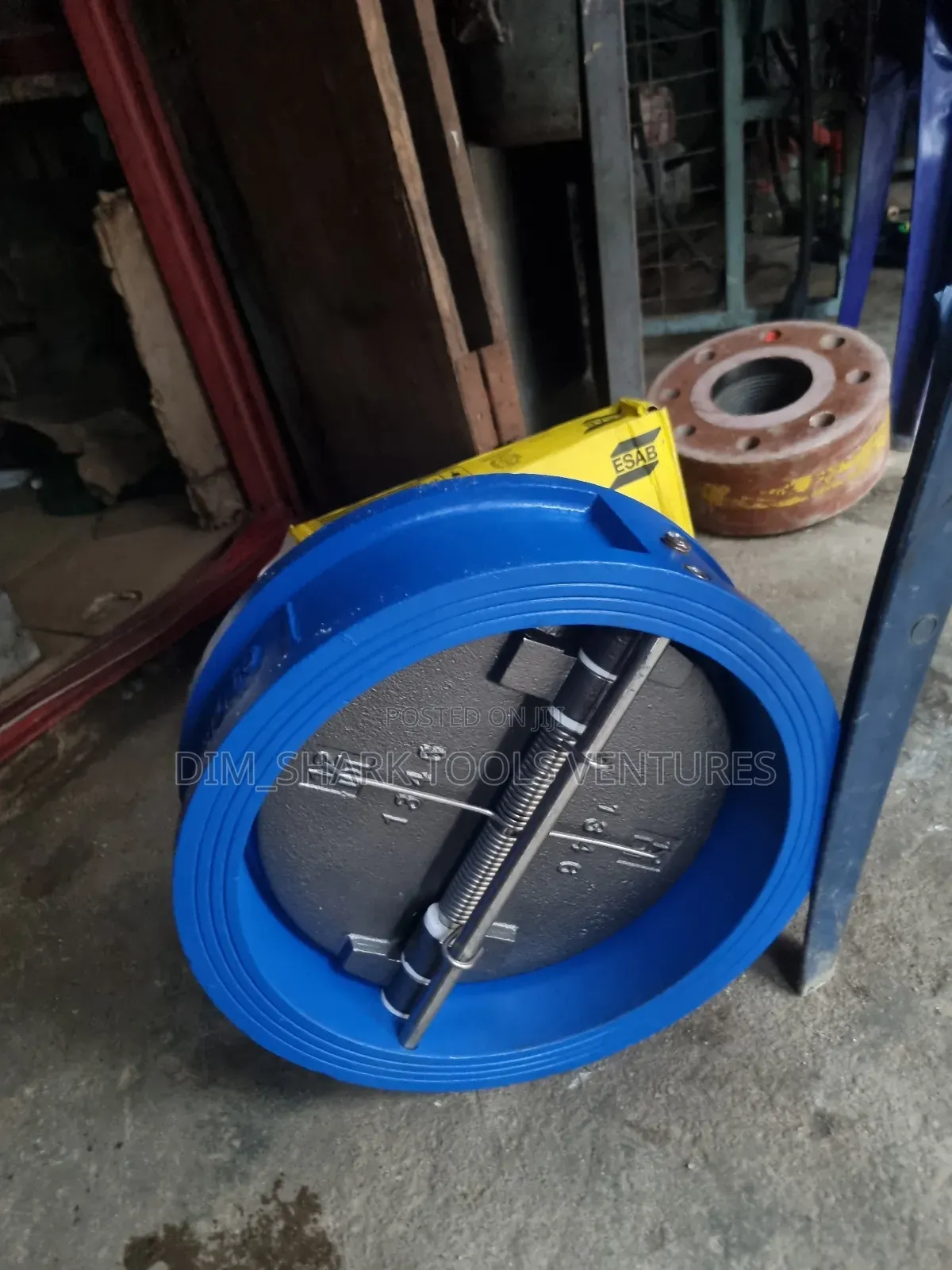 12"Inch Wafer Check Valve(Dn300)