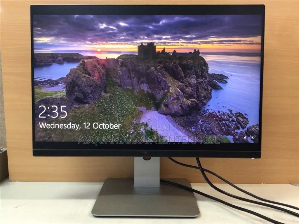 Dell U2415 Ultra Sharp 24 Inch Professional Monitor