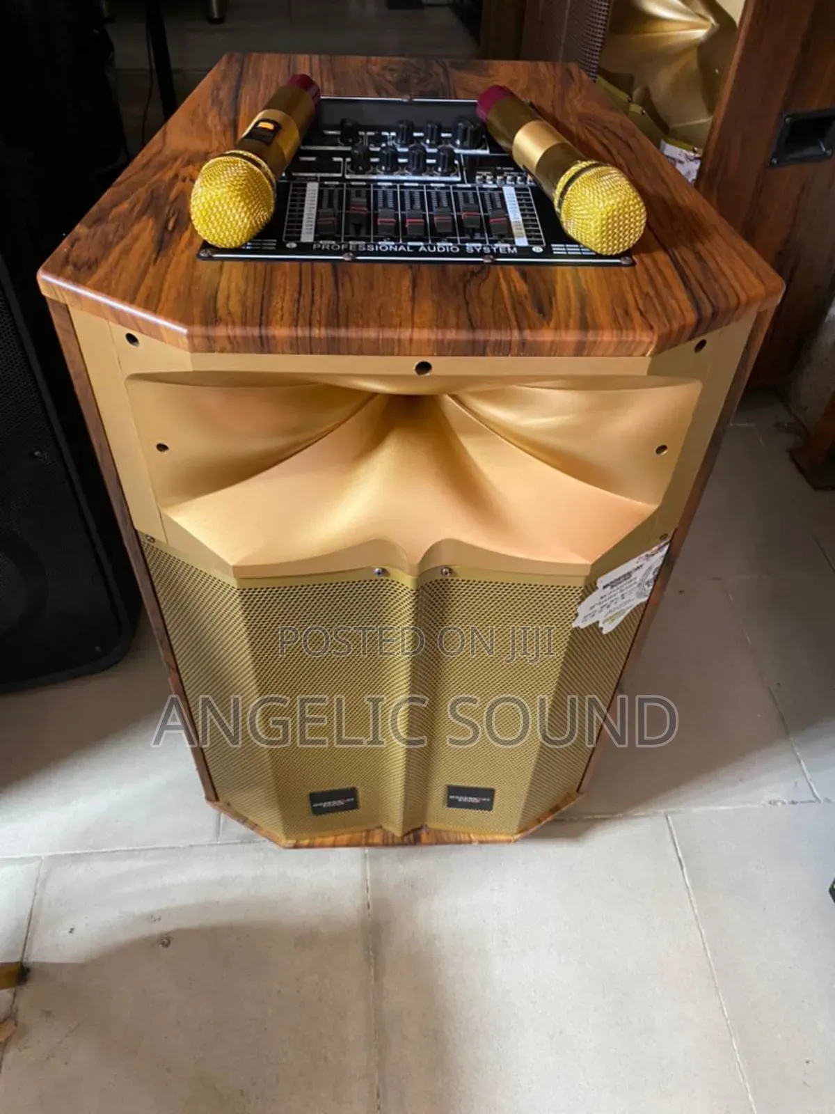 Modern Day Public Address System 12 Inches Wooden Body Model N