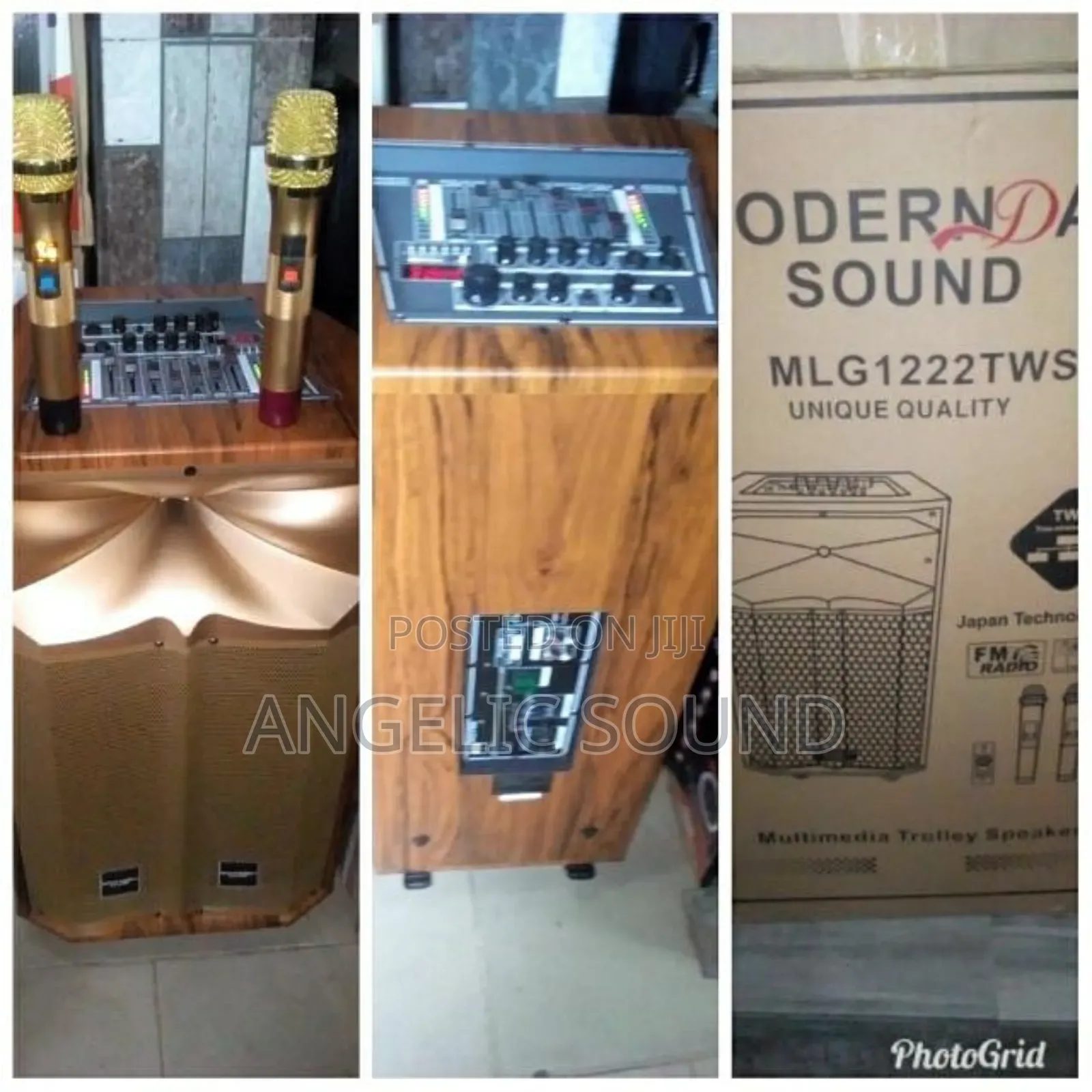 Modern Day Public Address System 12 Inches Wooden Body Model N
