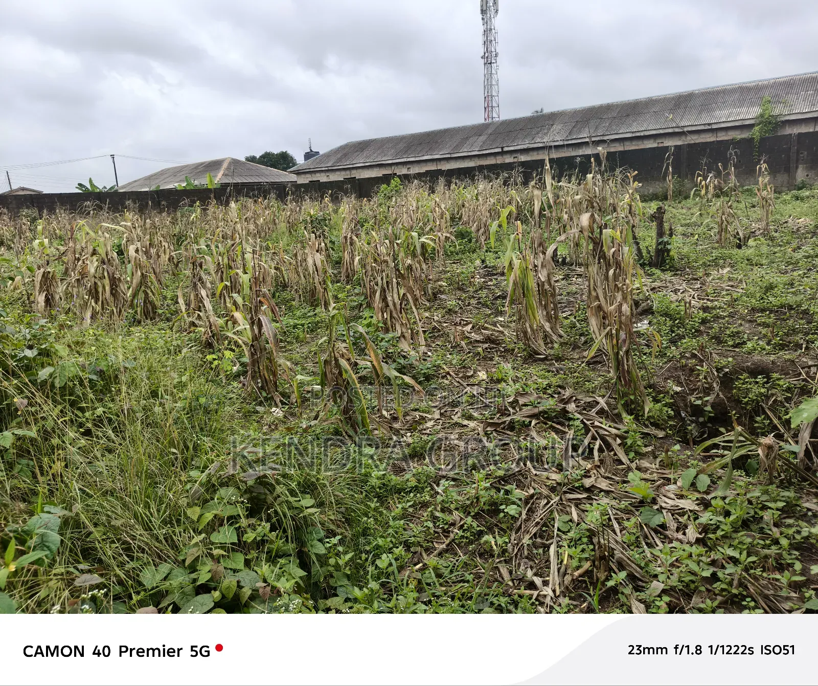 2 Plot Very Close to the Road for Sale at Elepe