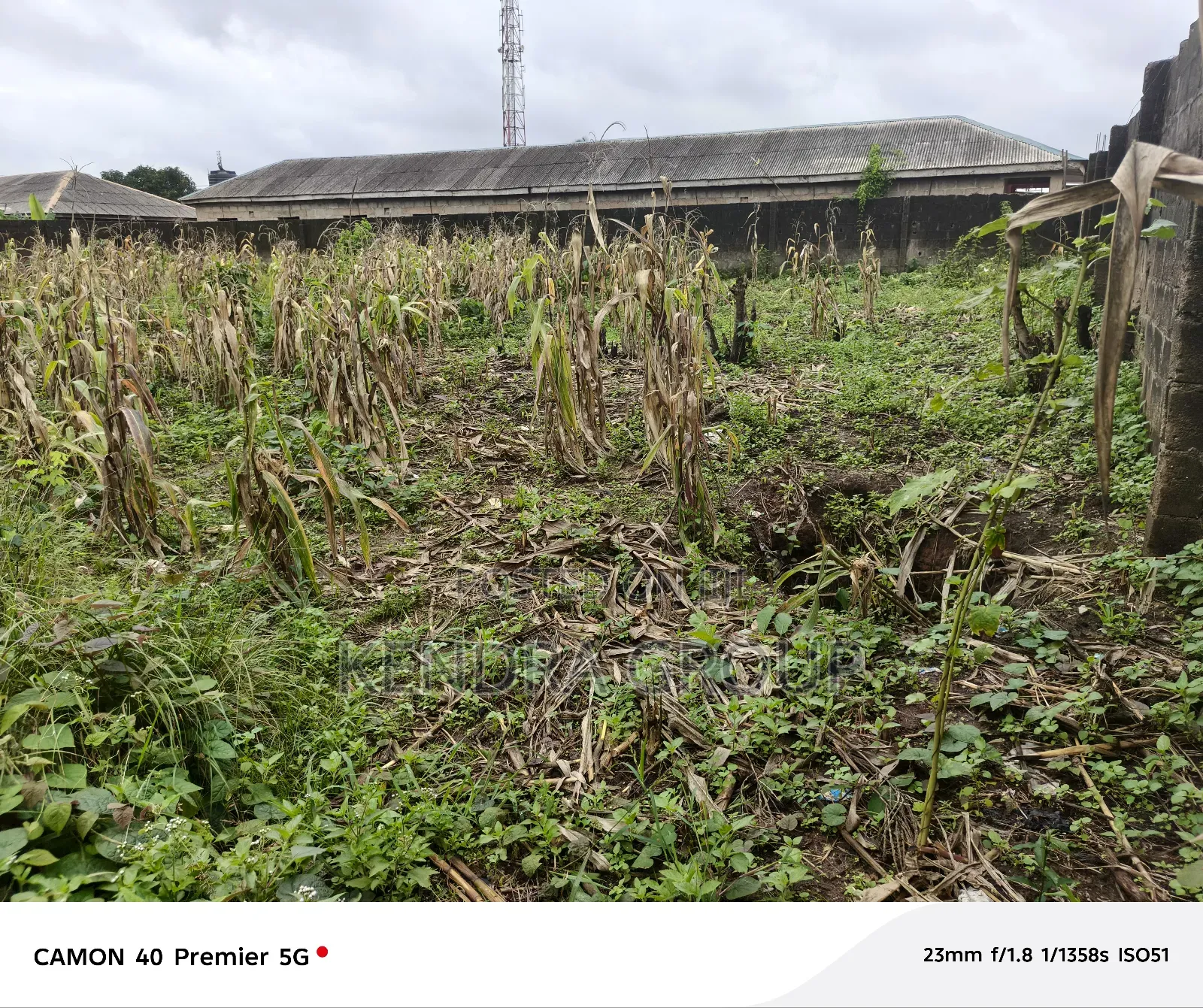 2 Plot Very Close to the Road for Sale at Elepe