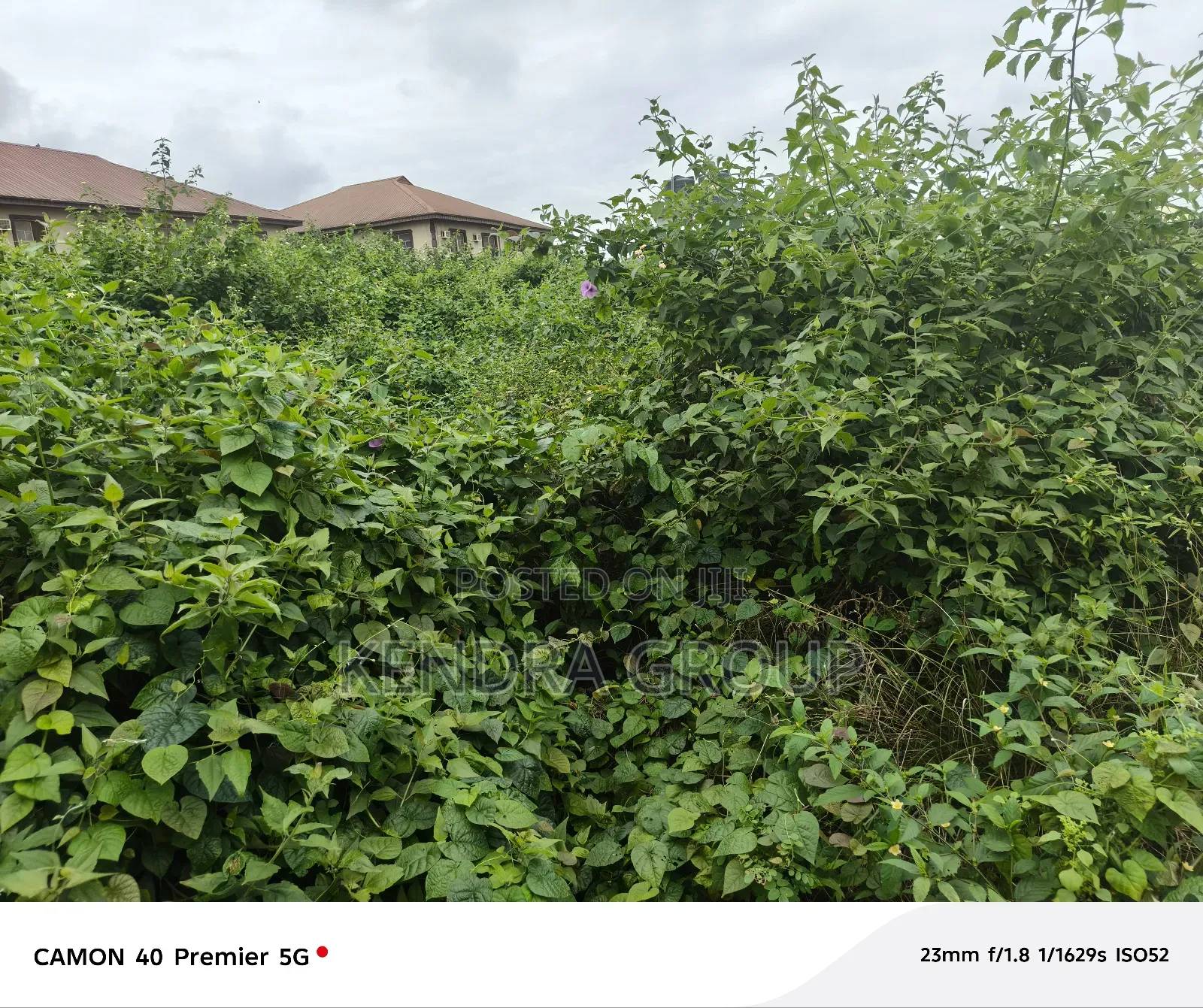 2 Plot Very Close to the Road for Sale at Elepe