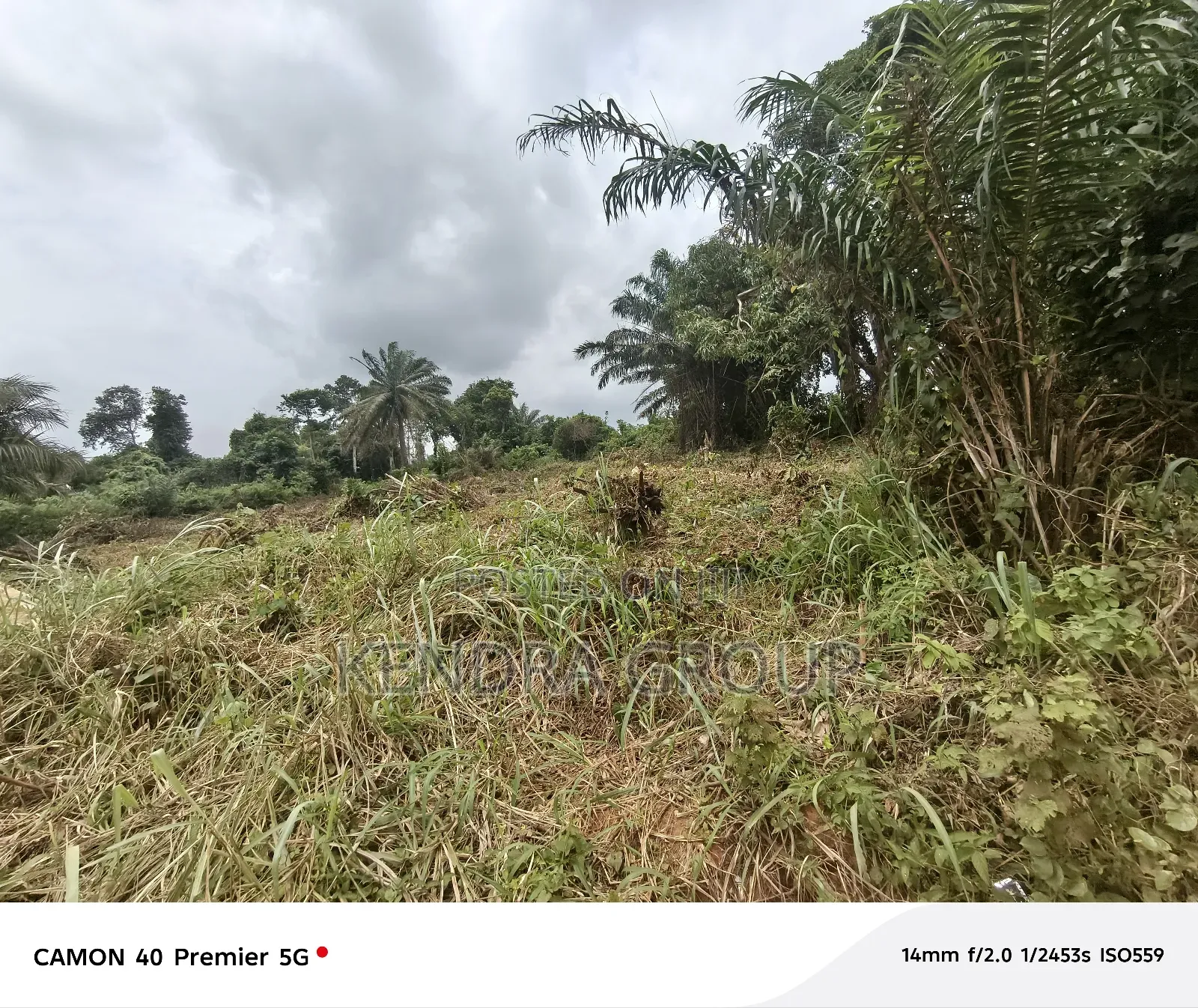 Full Plot for Sale, Off Caleb University, Imota, Ikorodu
