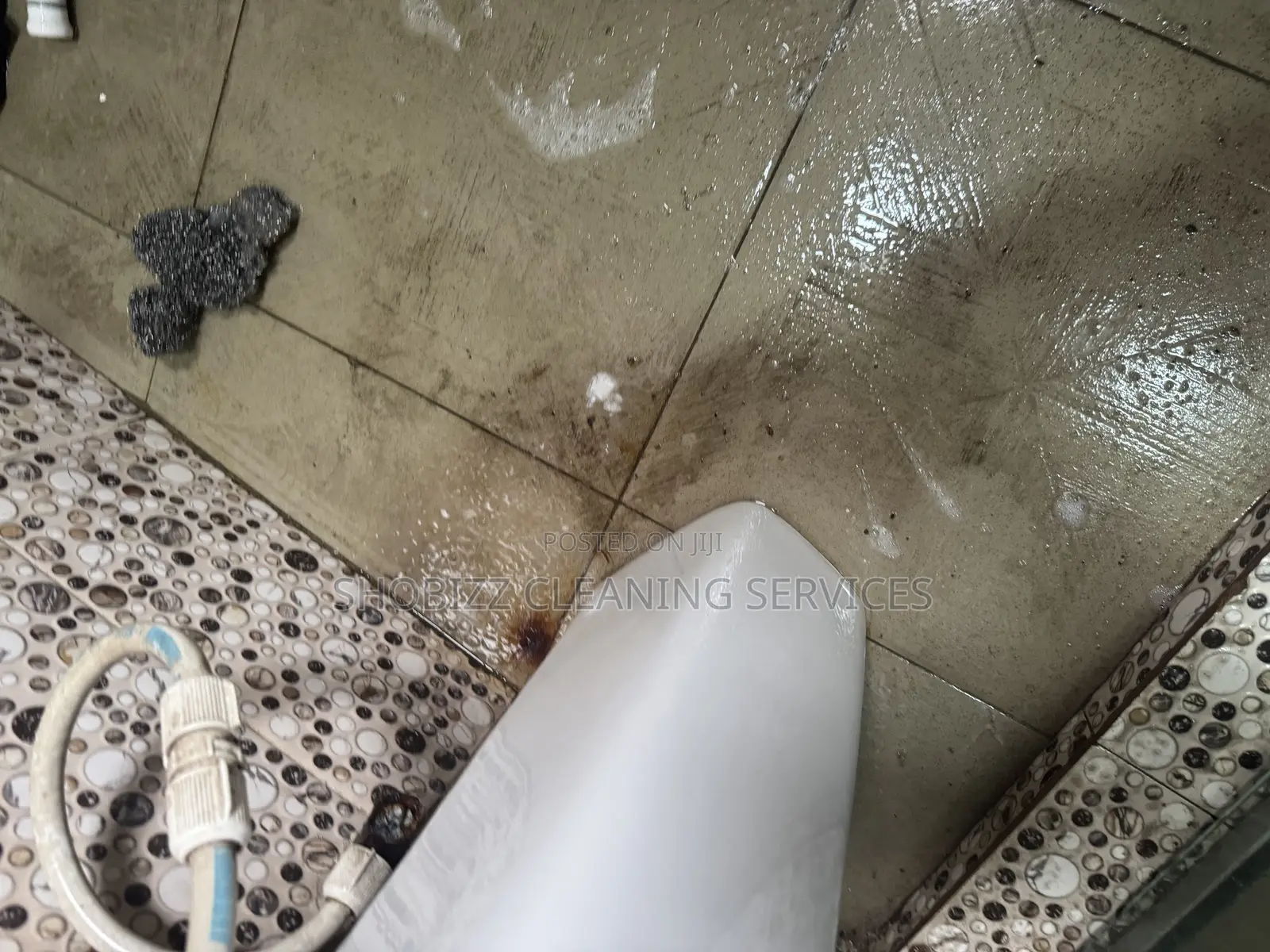 Apartment Cleaning/Stain Removal/Toilet Cleaning