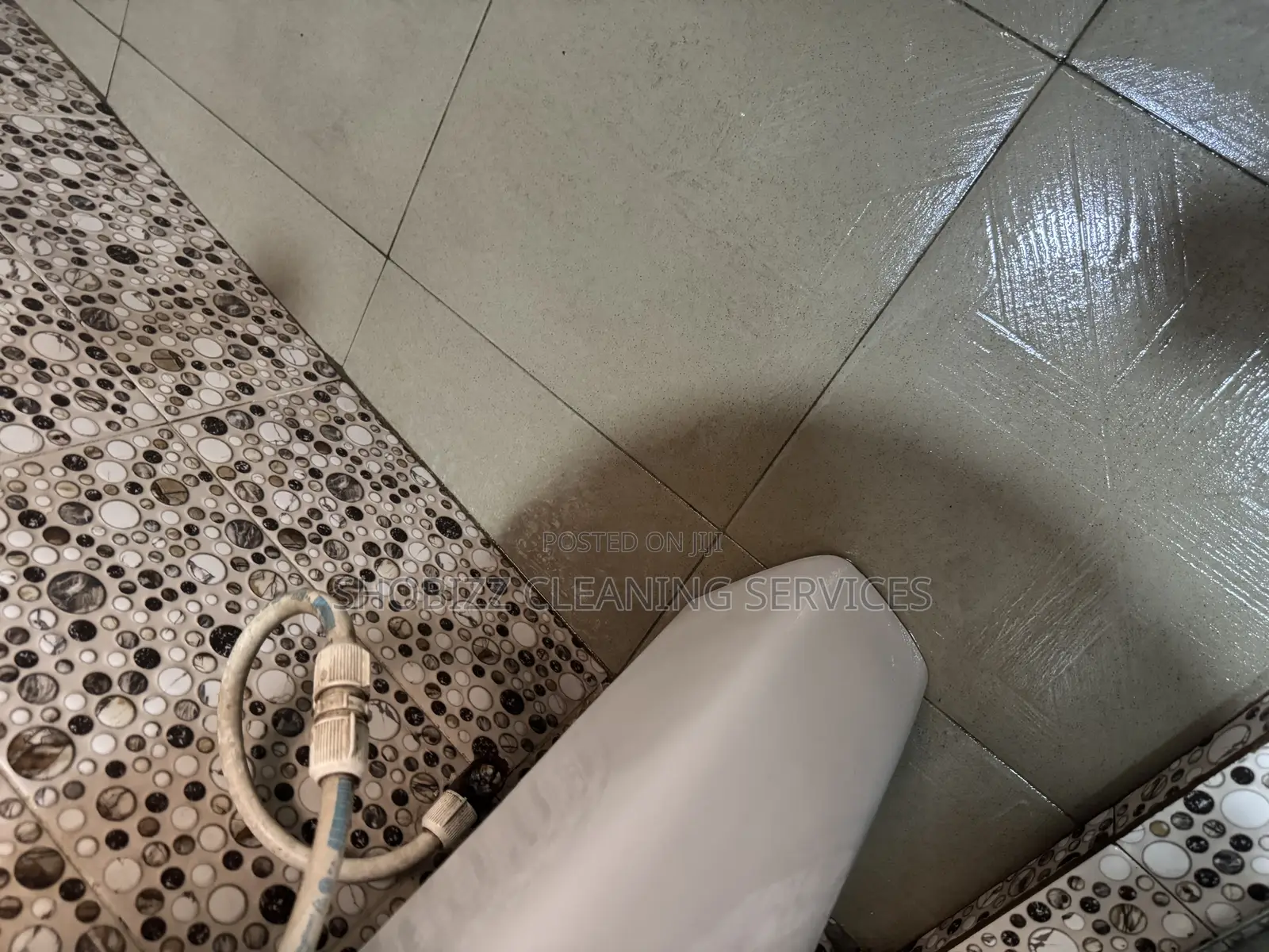 Apartment Cleaning/Stain Removal/Toilet Cleaning