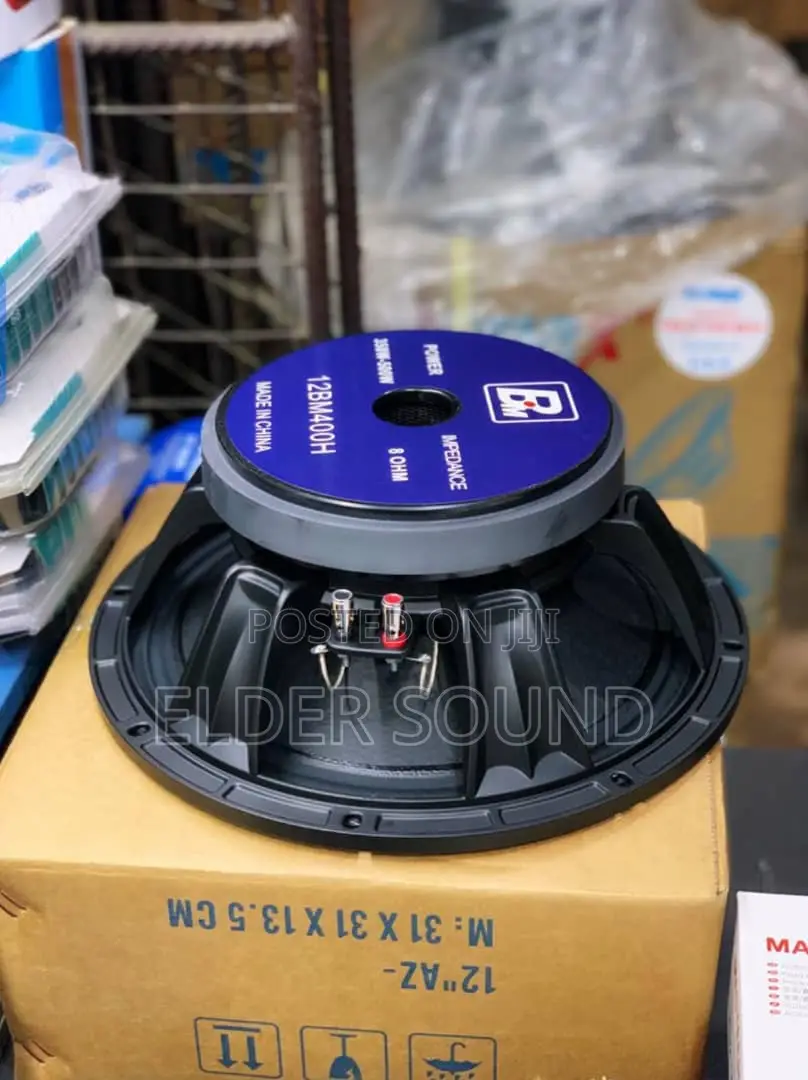 Bm 12 Inches Line Array Speaker