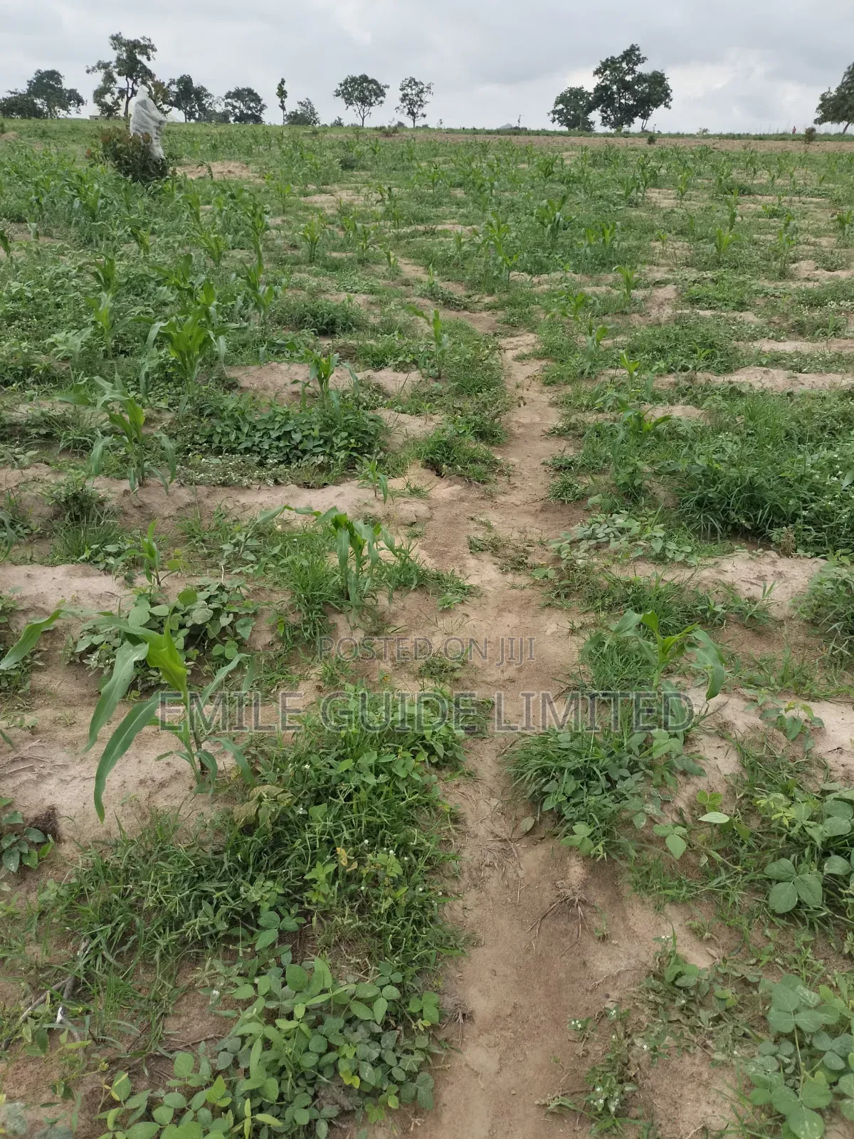Prime Plots Near Proposed Dunamis University, Karishi Abuja
