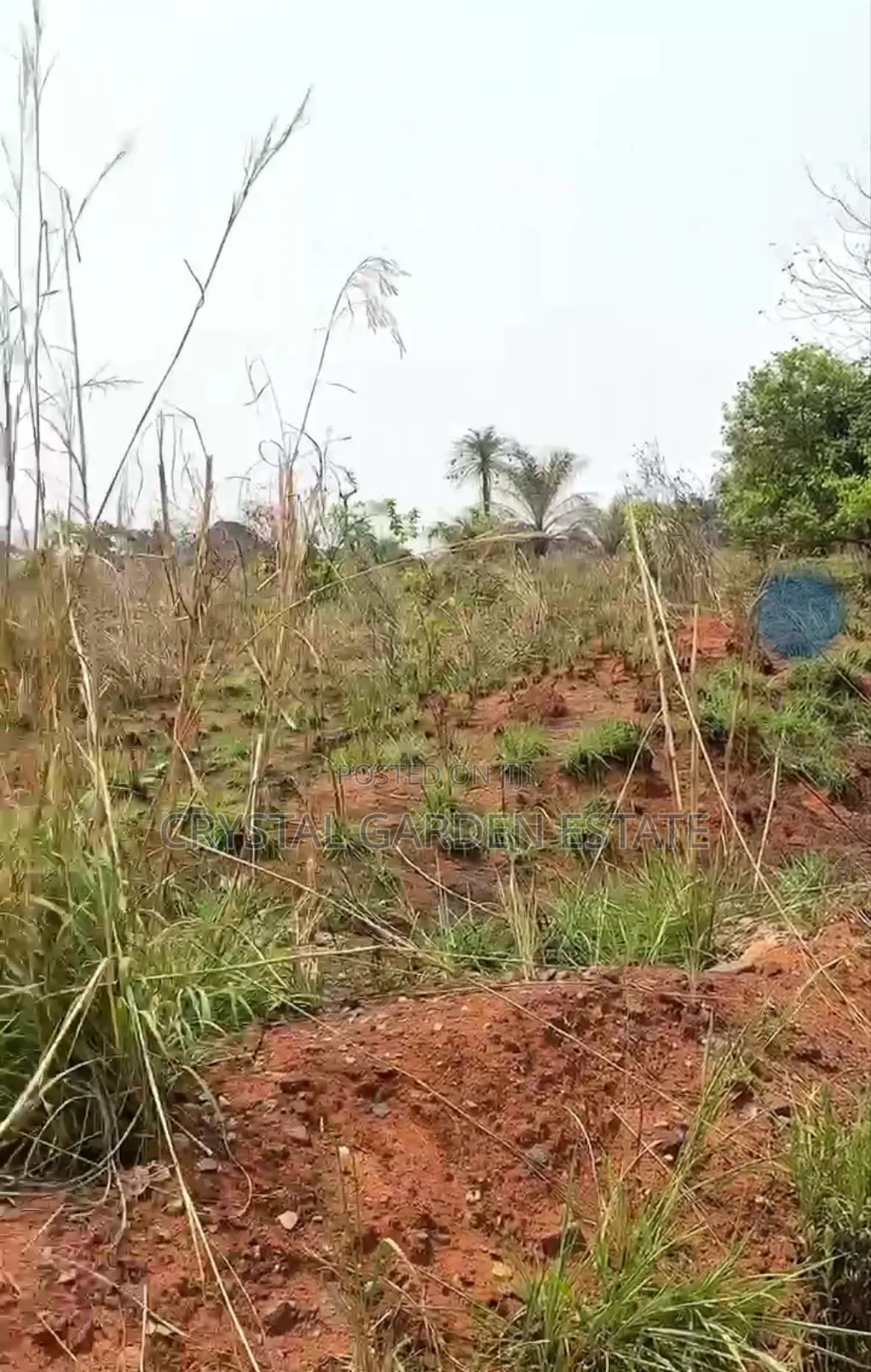 50x100sq,Meter:Land for Sale at Mbutu Okahia.