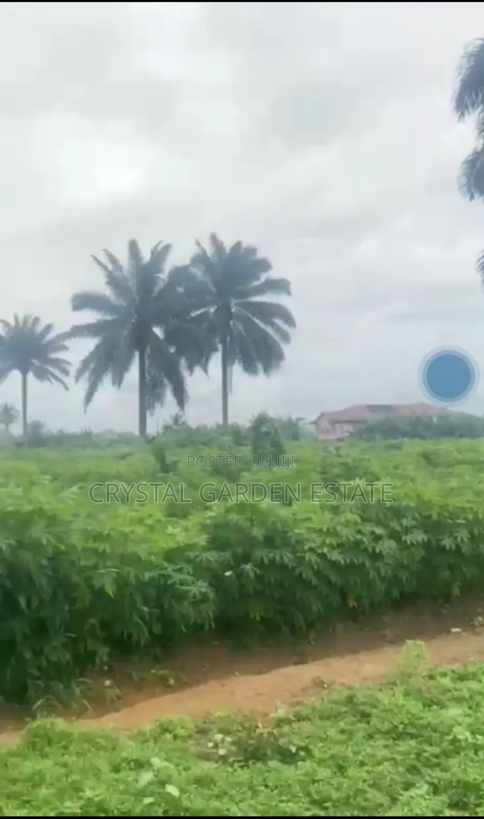 50x100sq, Meter: Land for Sale at Amaike Ezzamgbo.