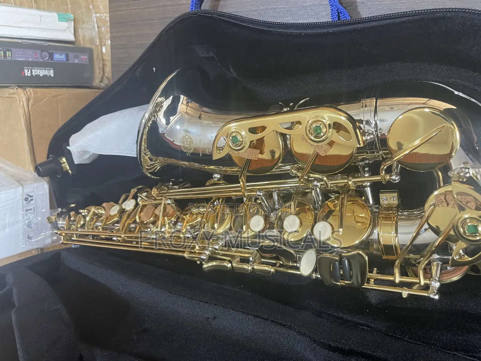 Henri Selmer Paris Gold/Silver Alto Saxophone