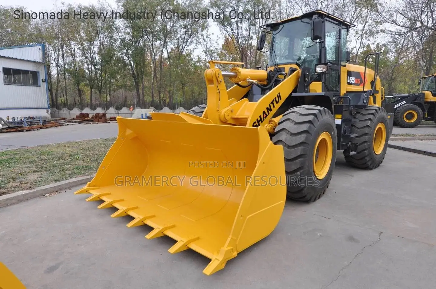 Brand New Shantui Wheel Loader/Payloader For Sale