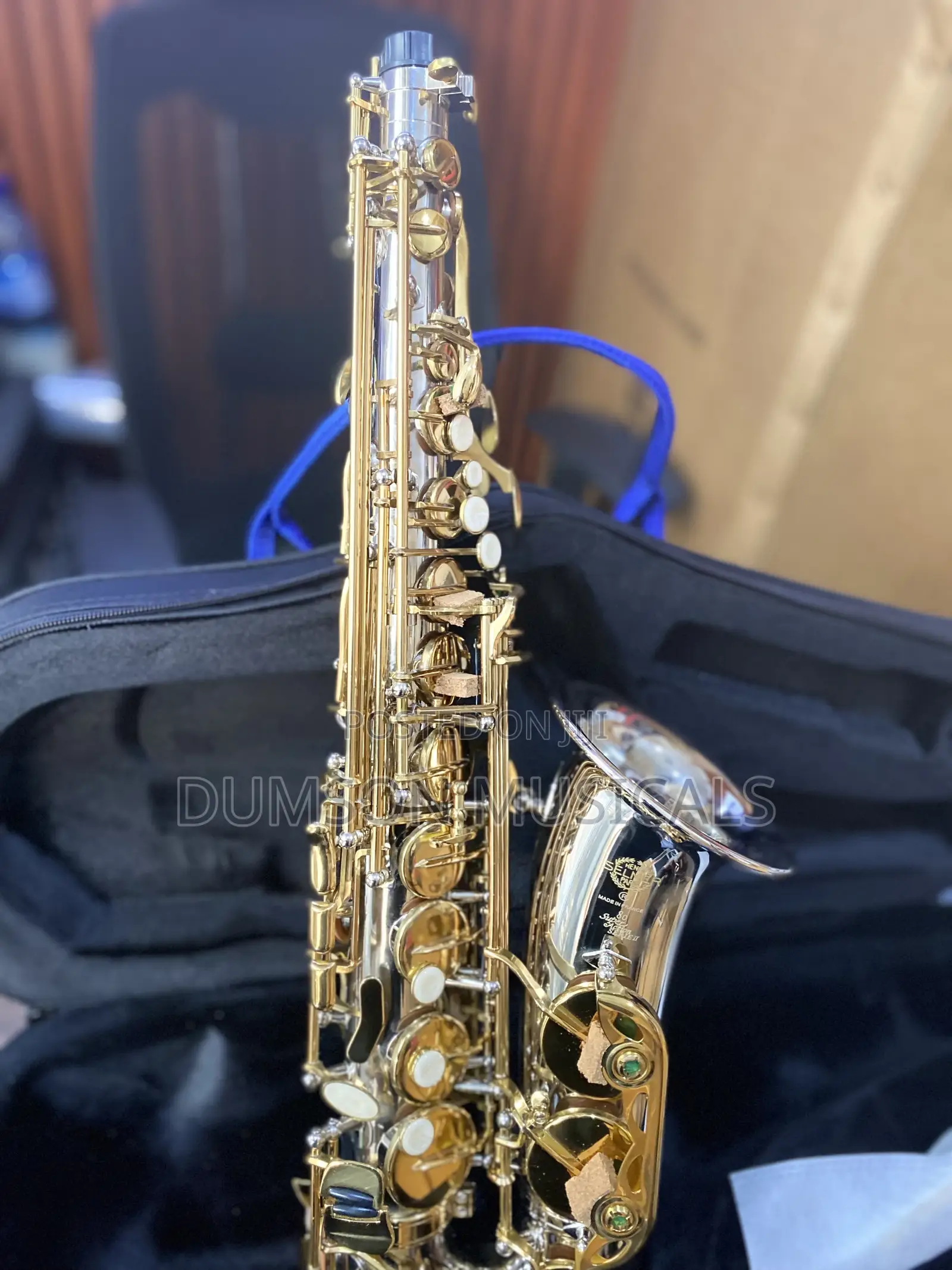 Henri Selmer Paris Gold/Silver Alto Saxophone