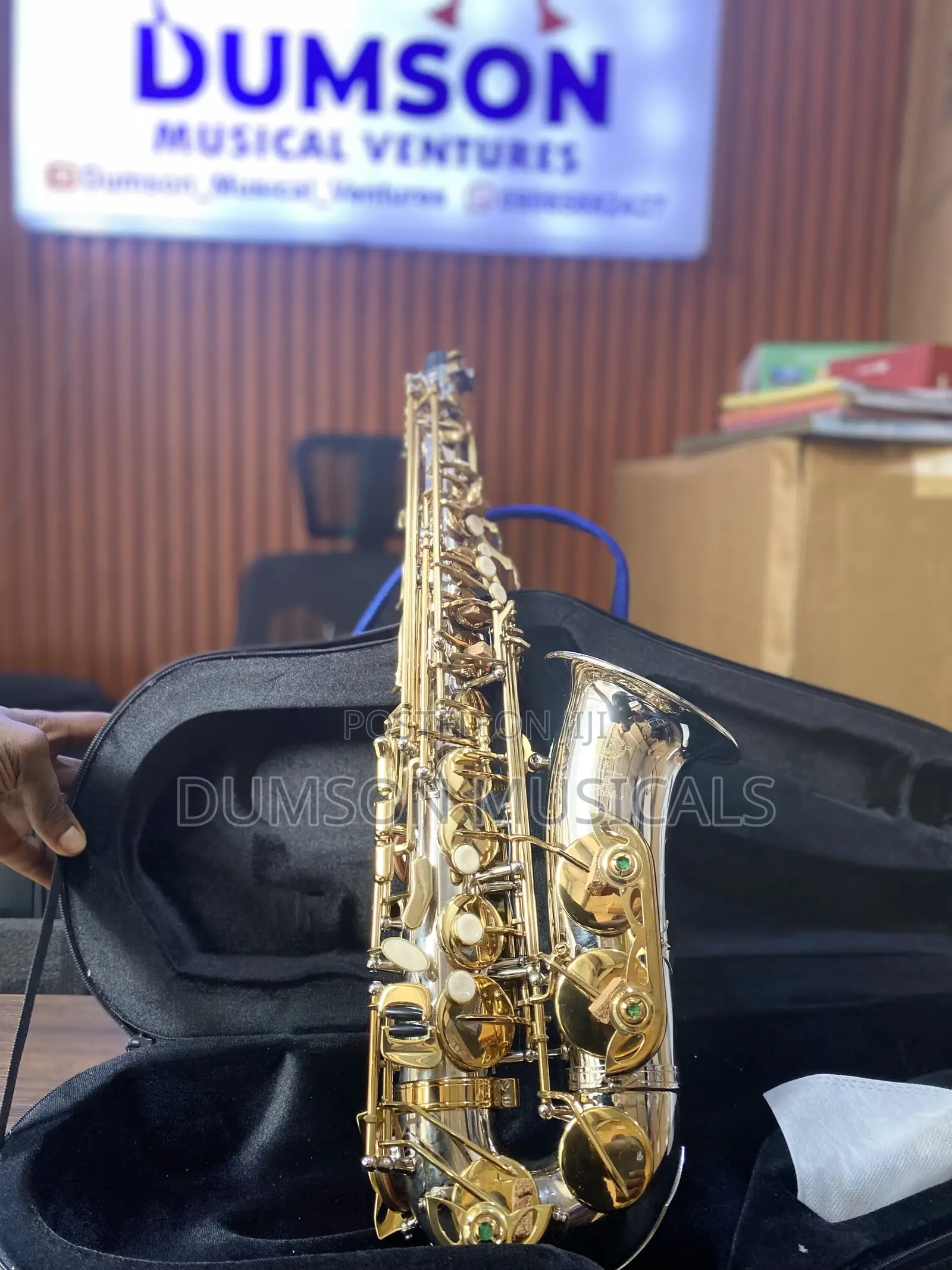 Henri Selmer Paris Gold/Silver Alto Saxophone