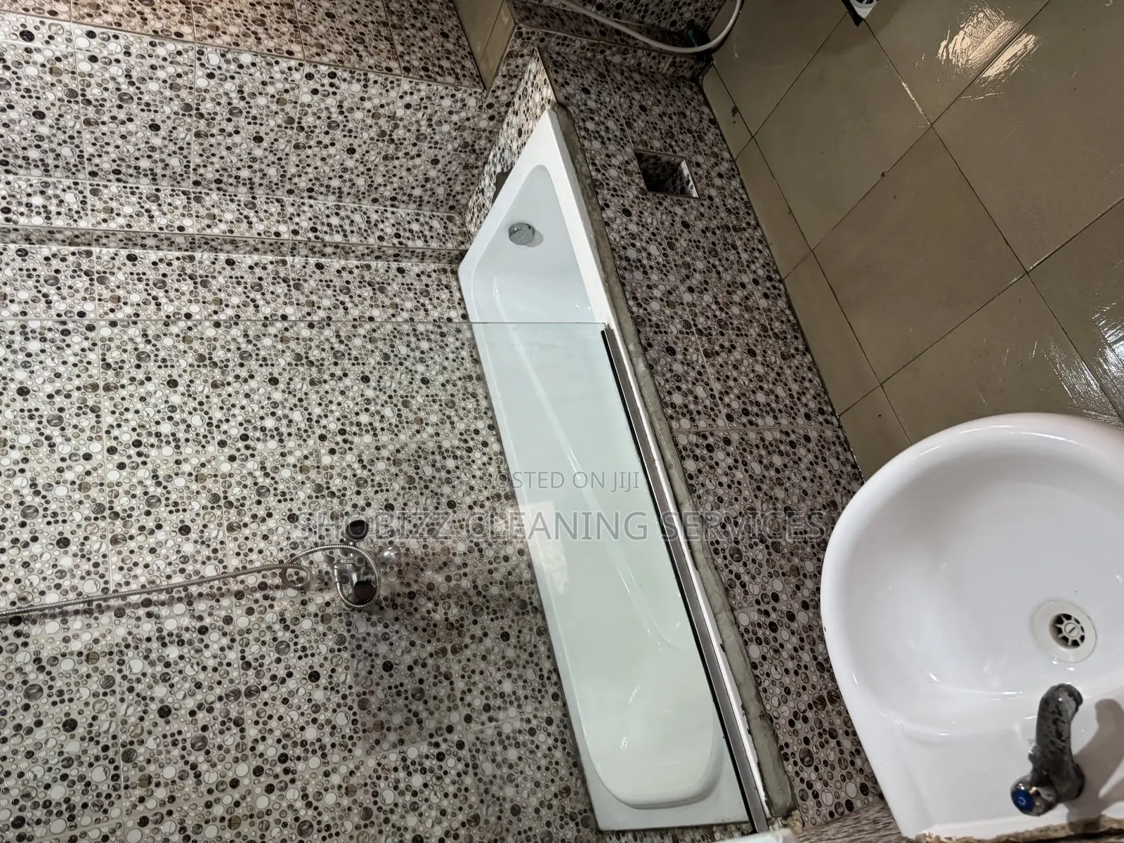 Professional Cleaning Service /Deep Toilet Cleaning