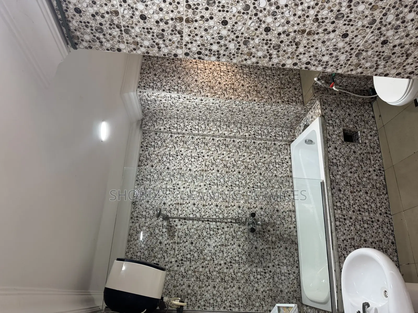 Professional Cleaning Service /Deep Toilet Cleaning