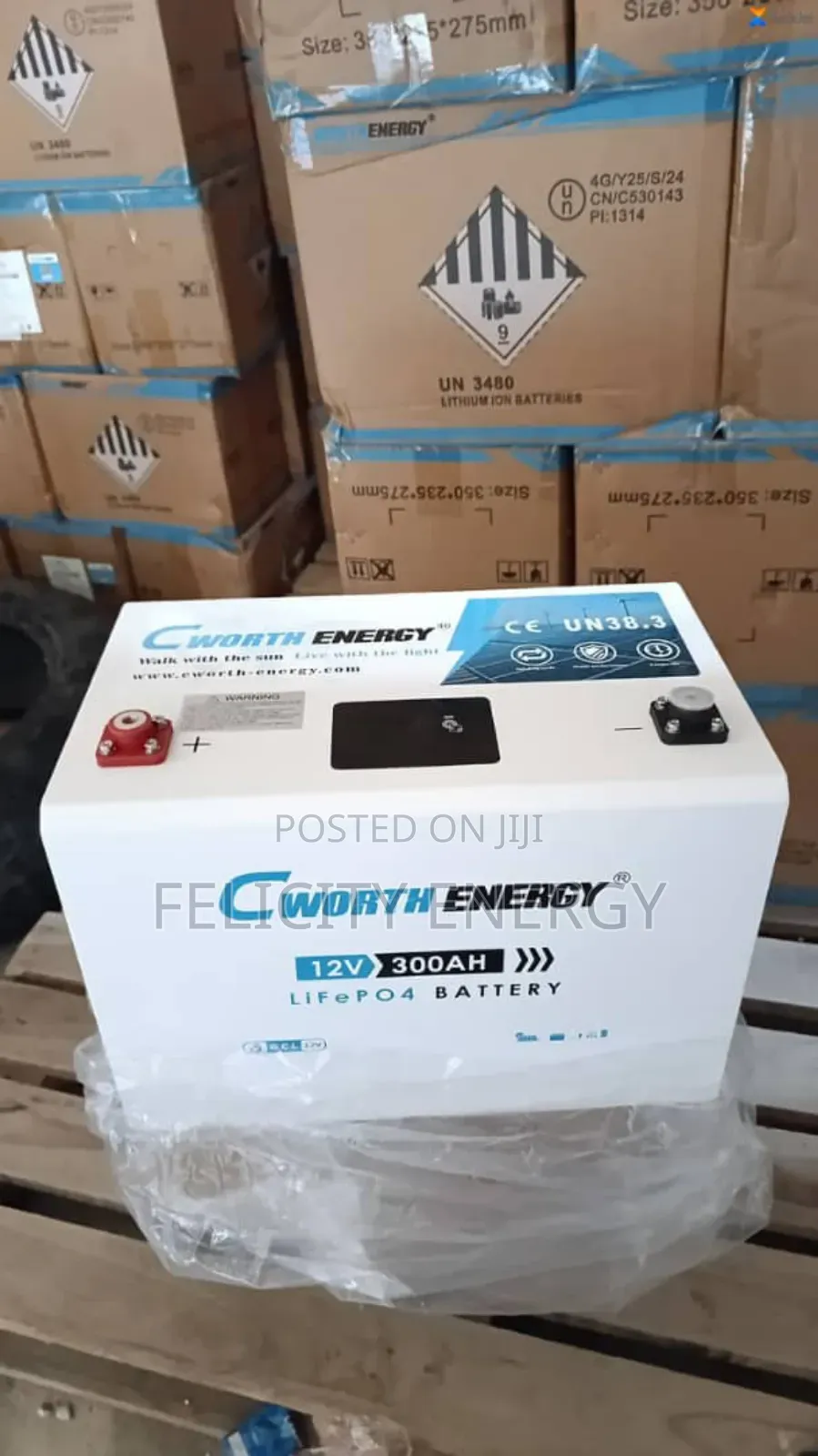 C Worth Energy Lithium Battery 300amps 12v