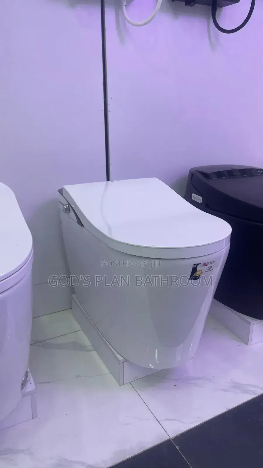 New Ideal Executive Censor Wc