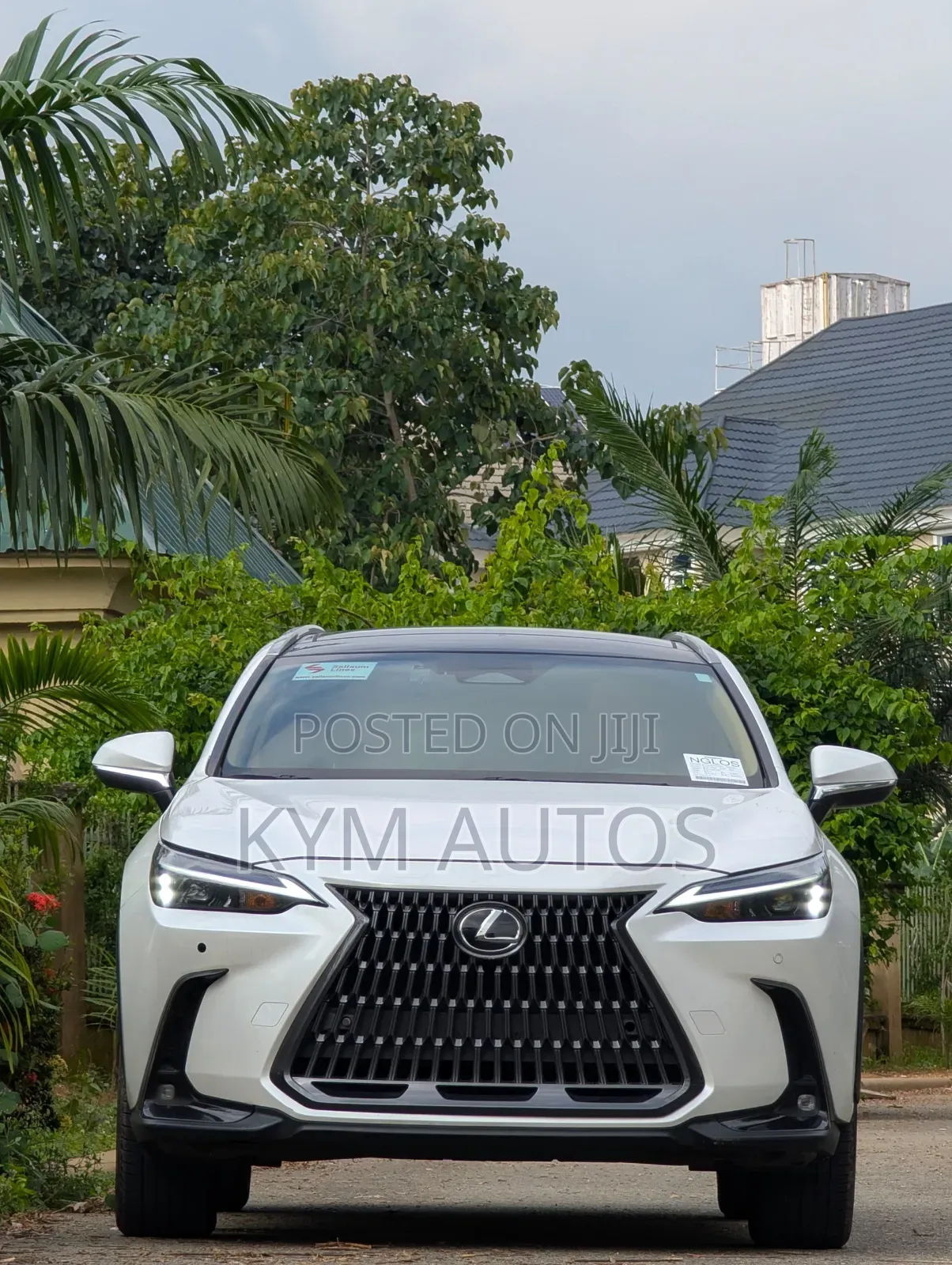 Lexus NX 2024 White
