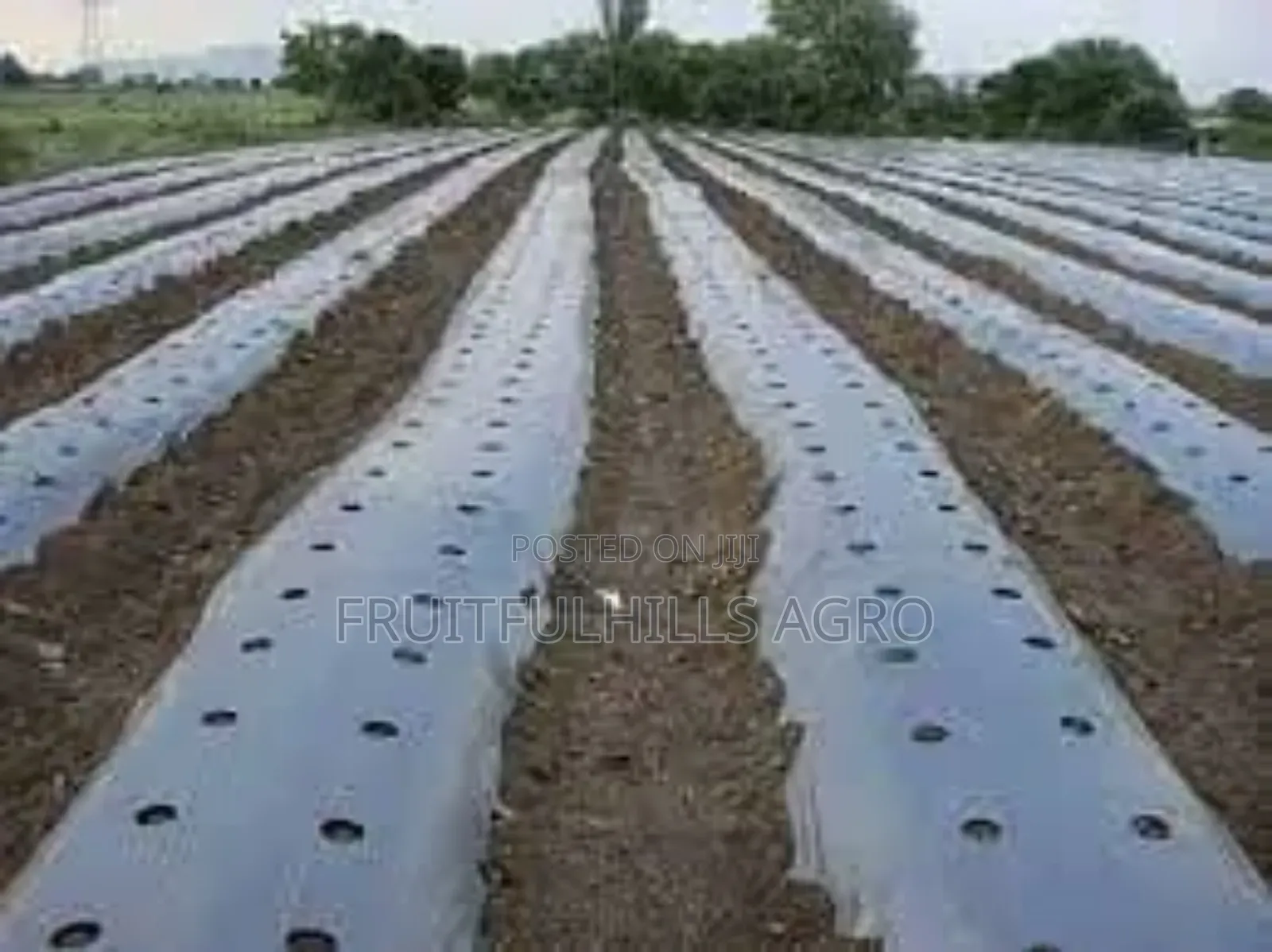 Mulching Nylon