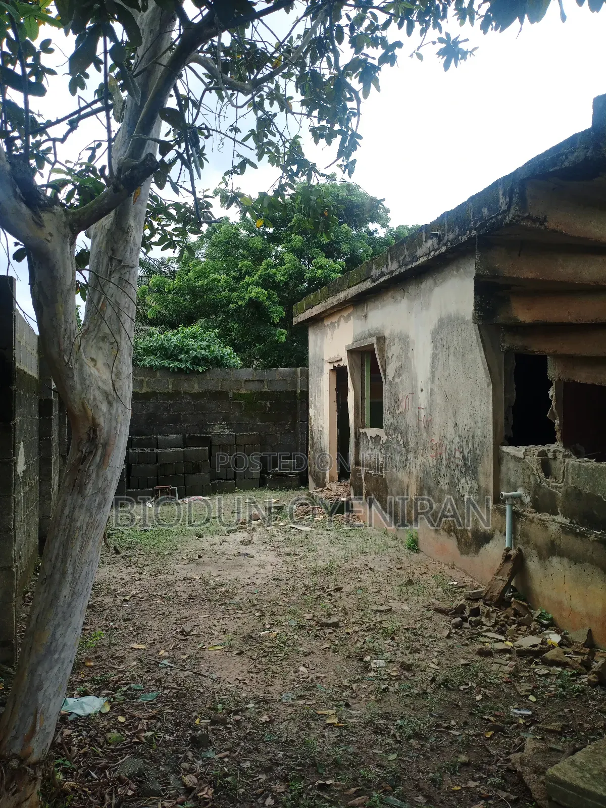 Half Plot for Sale at Atan Kekere