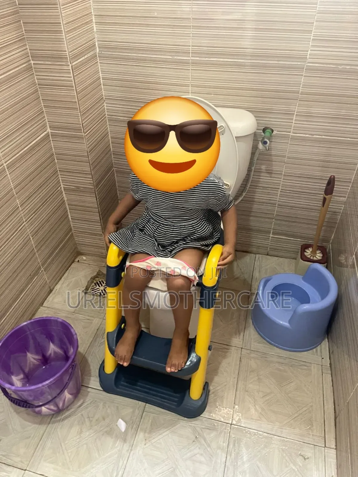Training Potty Ladder