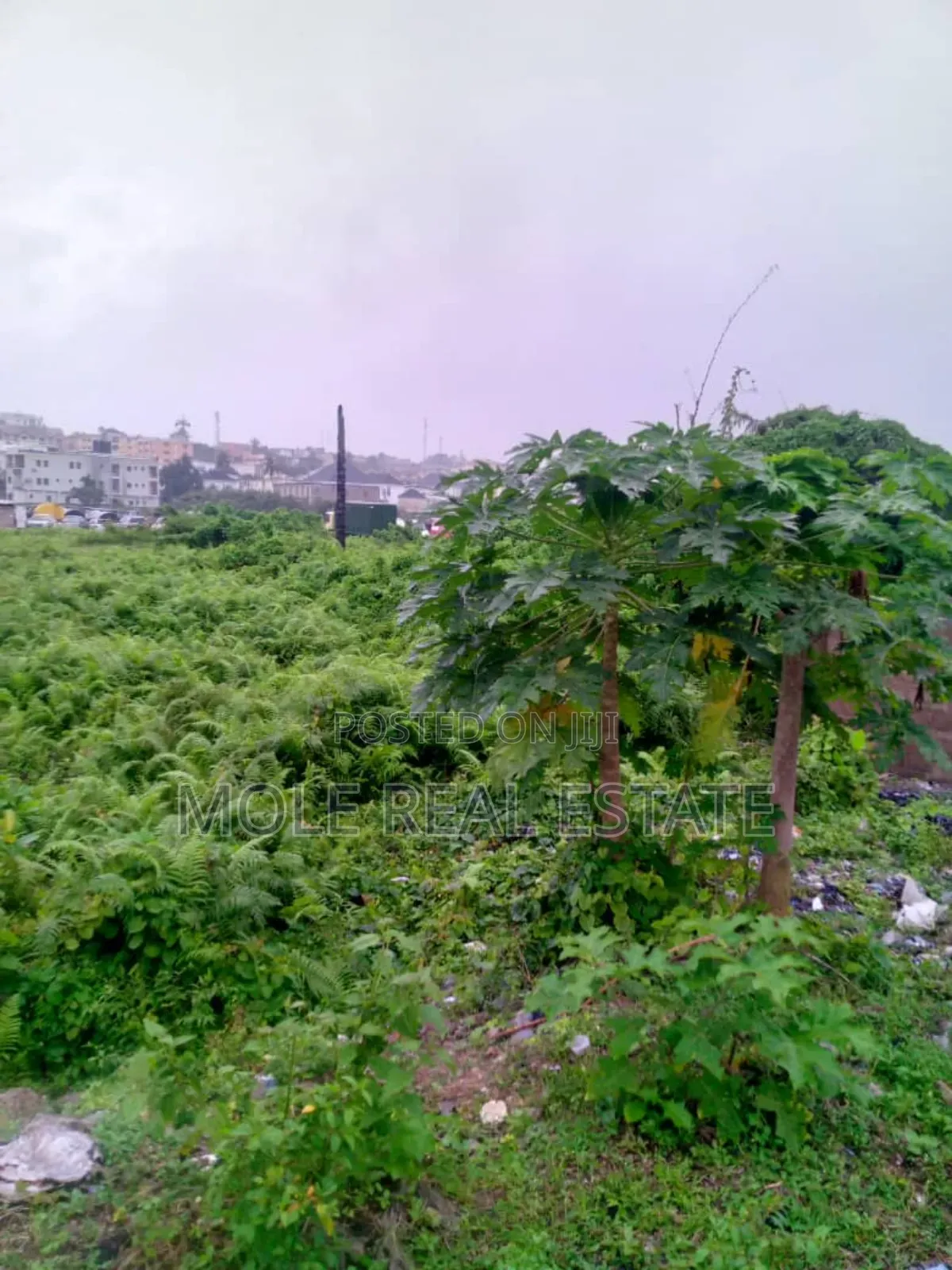 300sqm (Half Plot ) Vacant Barriga Facing Road
