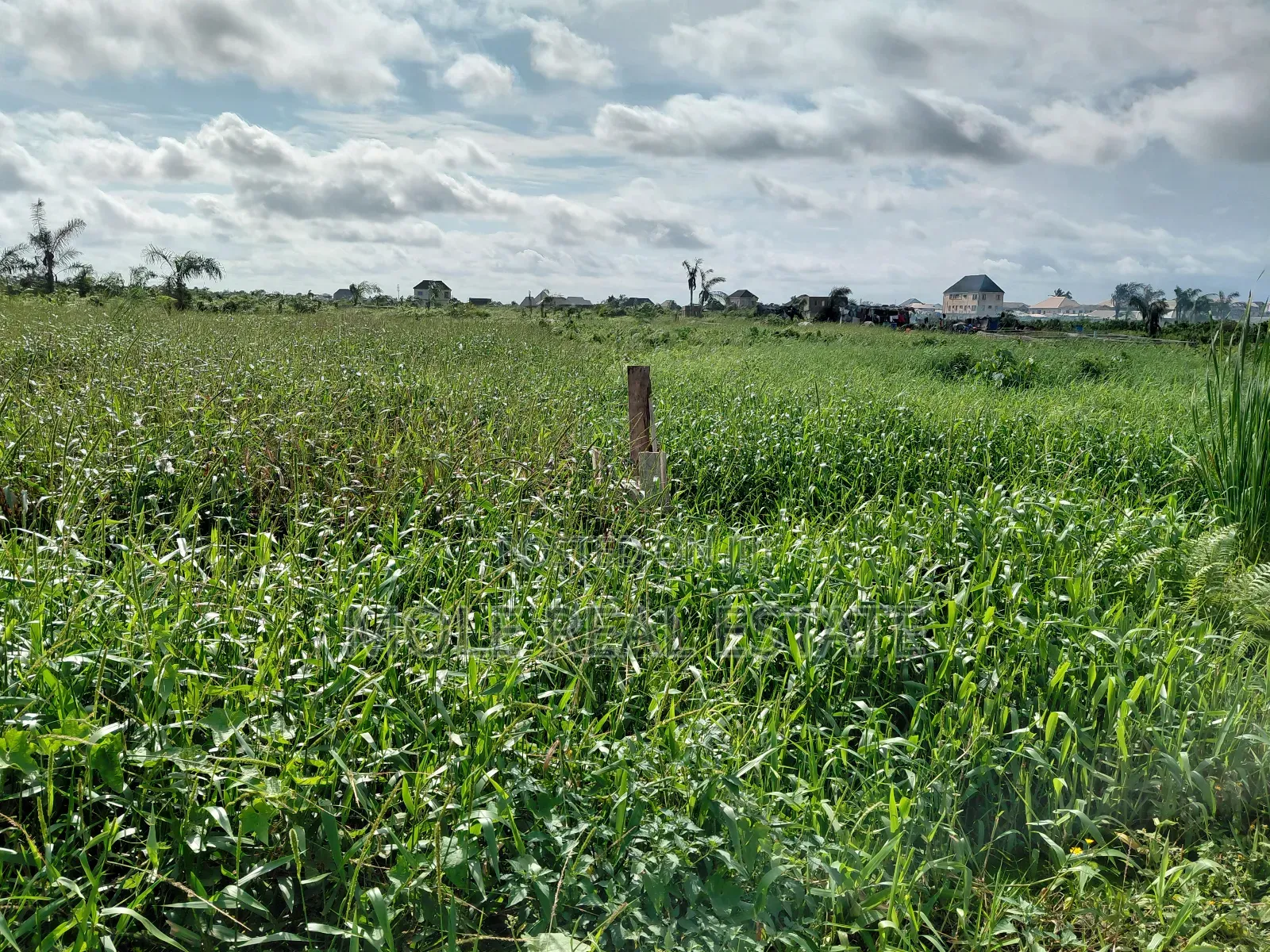 300sqm (Half Plot ) Vacant Barriga Facing Road