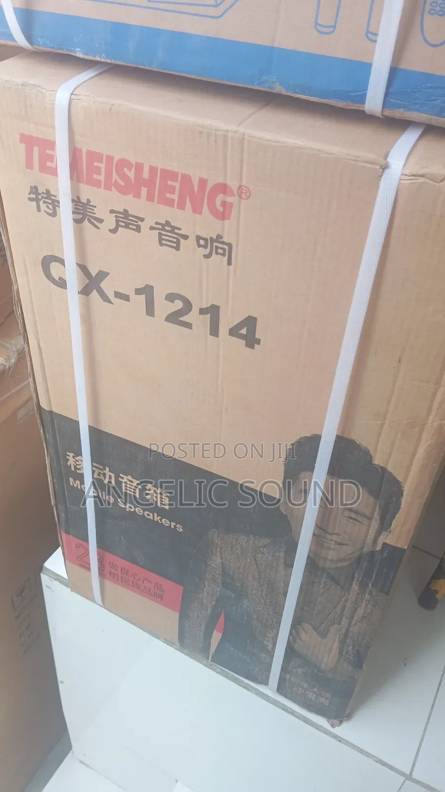 Temeisheng 12 Inches Public Address System