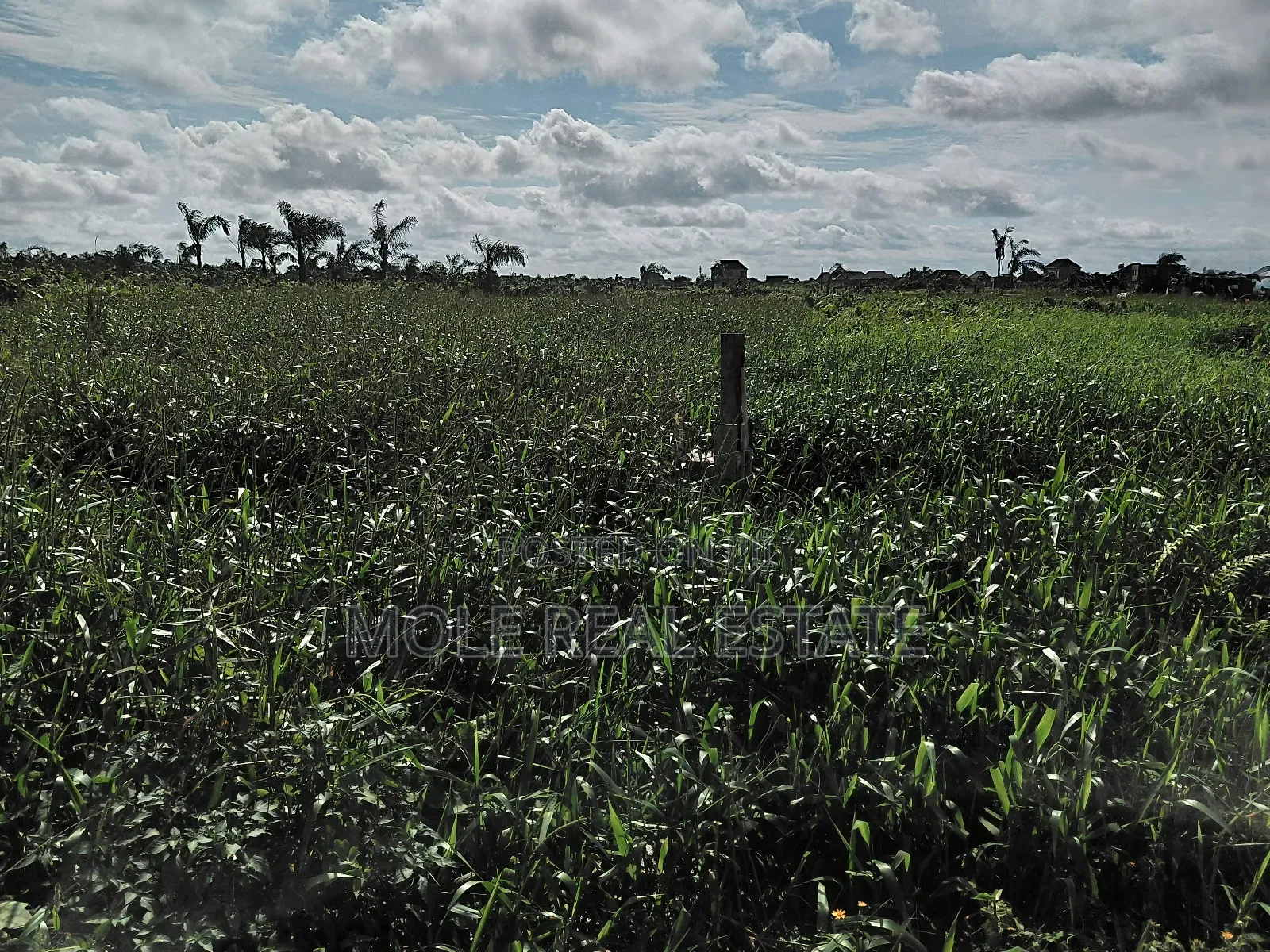 Two and Half Plots Facing Ikotun Igu Road Near Bokun Stores Alimosho