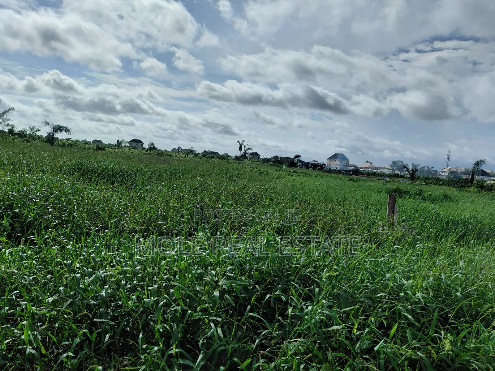 Two and Half Plots Facing Ikotun Igu Road Near Bokun Stores Alimosho