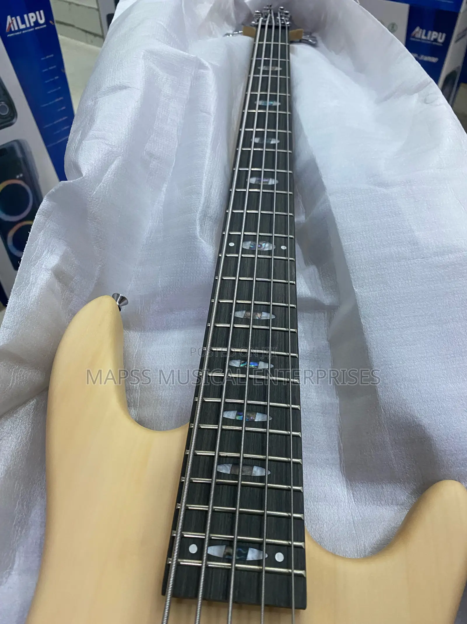 Alvarez Passive Five Strings Bass