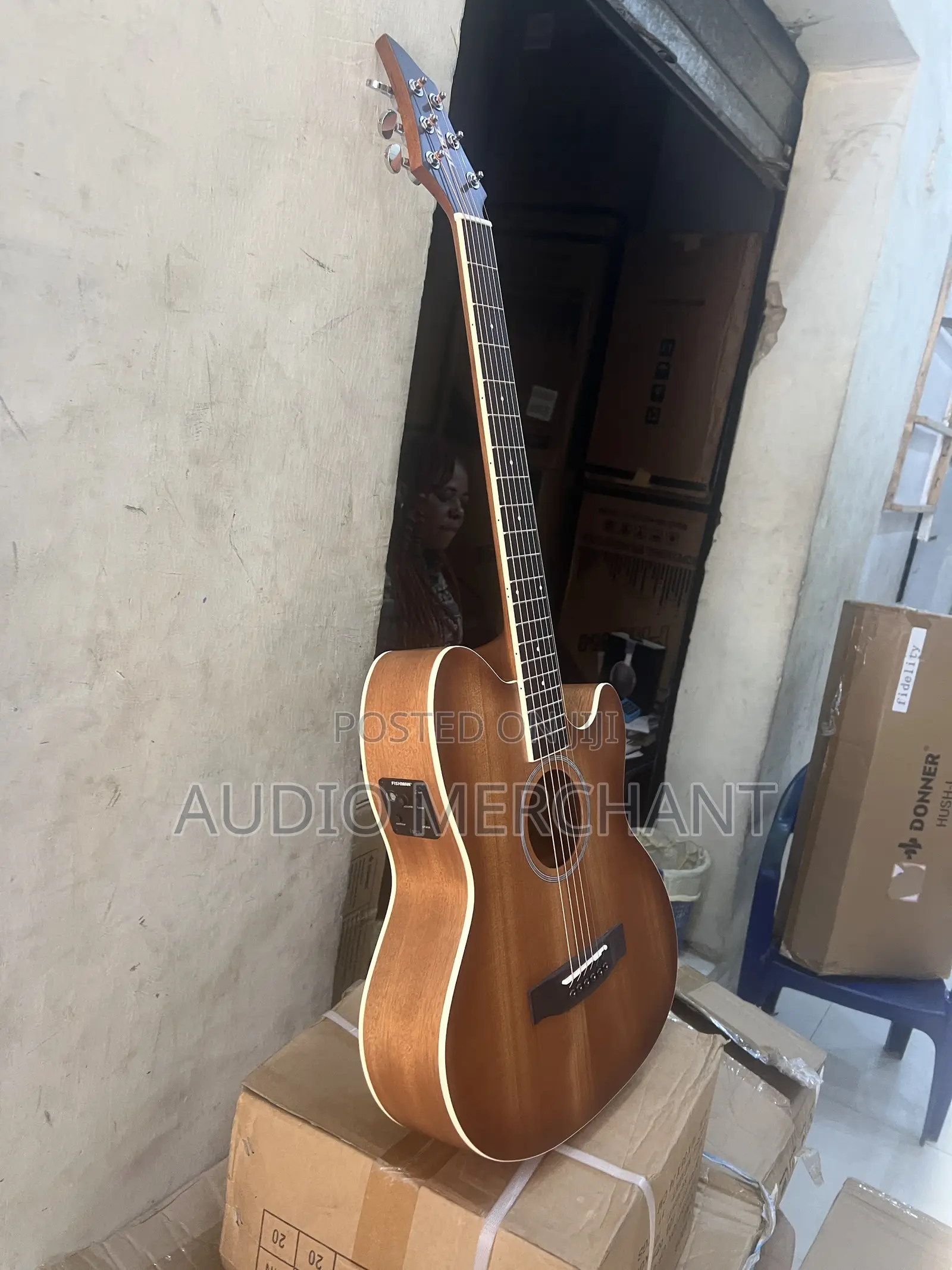 Professional Electric Semi Acoustic Guitar