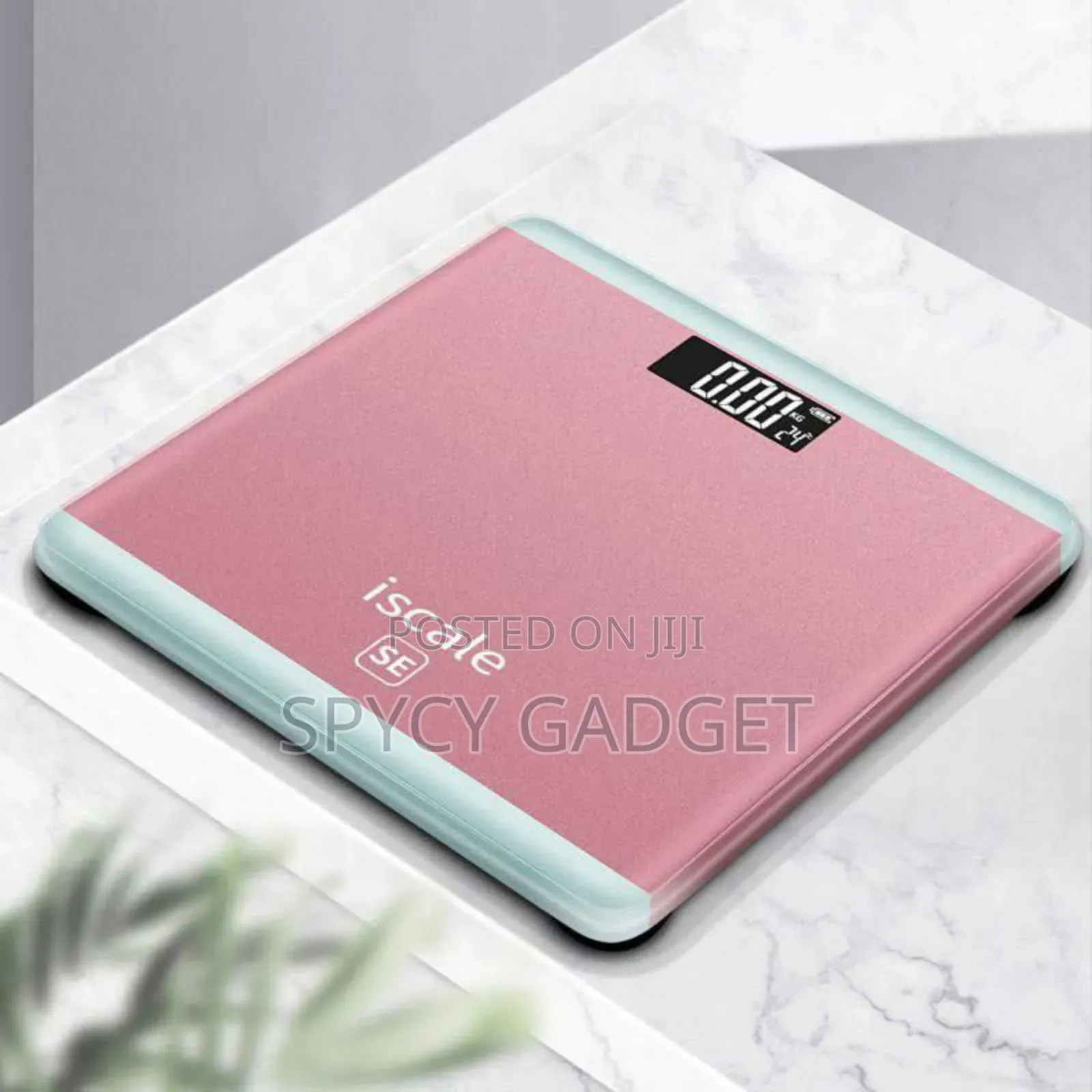 Digital Transparent Body Weight Scale