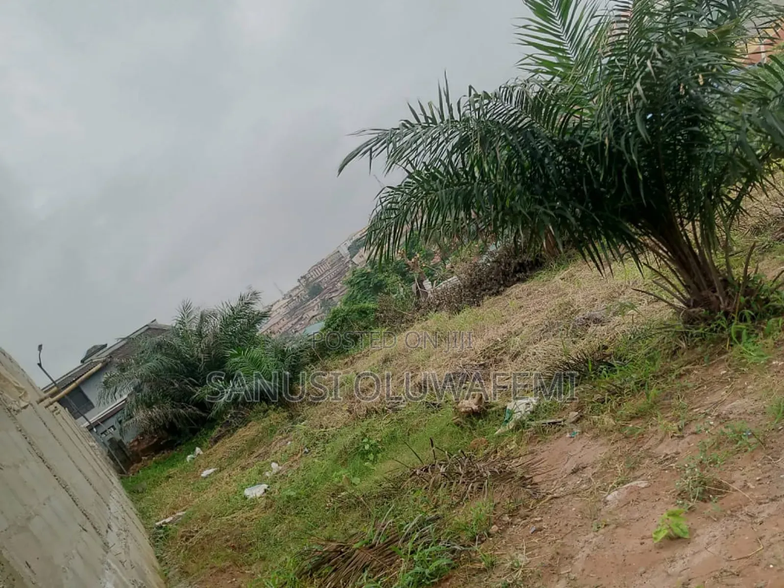 Land for Sale in Anthony