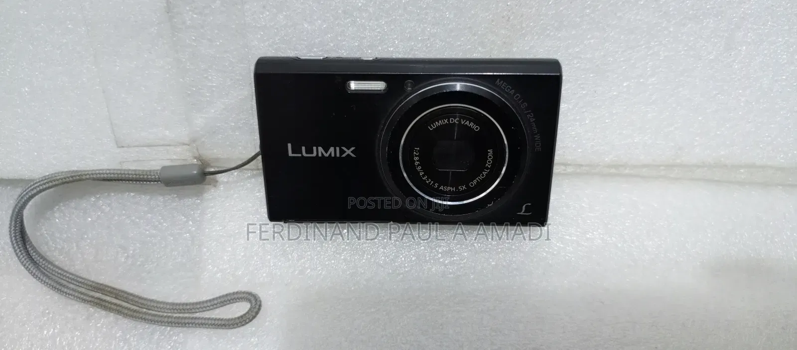 Panasonic Digital Photo and Video Camera for Vintage Snapping