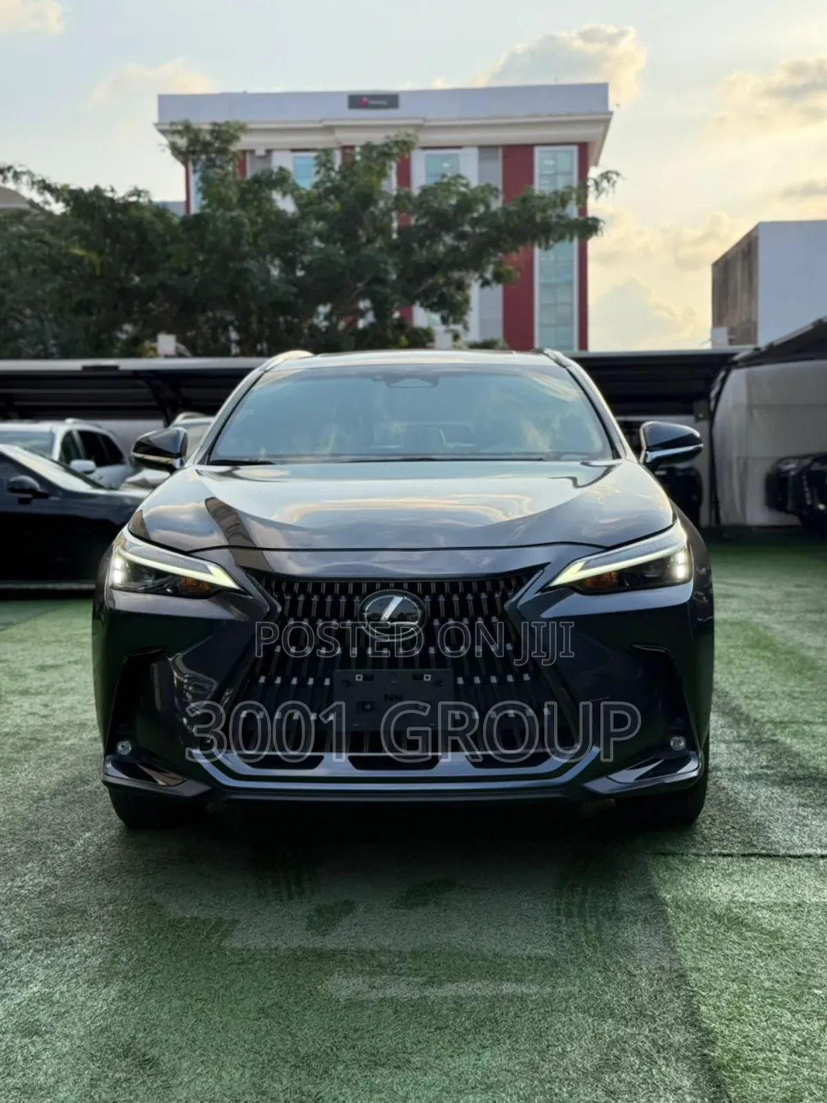 Lexus NX 2023 Gray