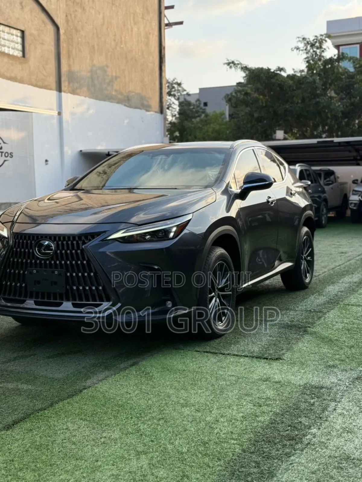 Lexus NX 2023 Gray
