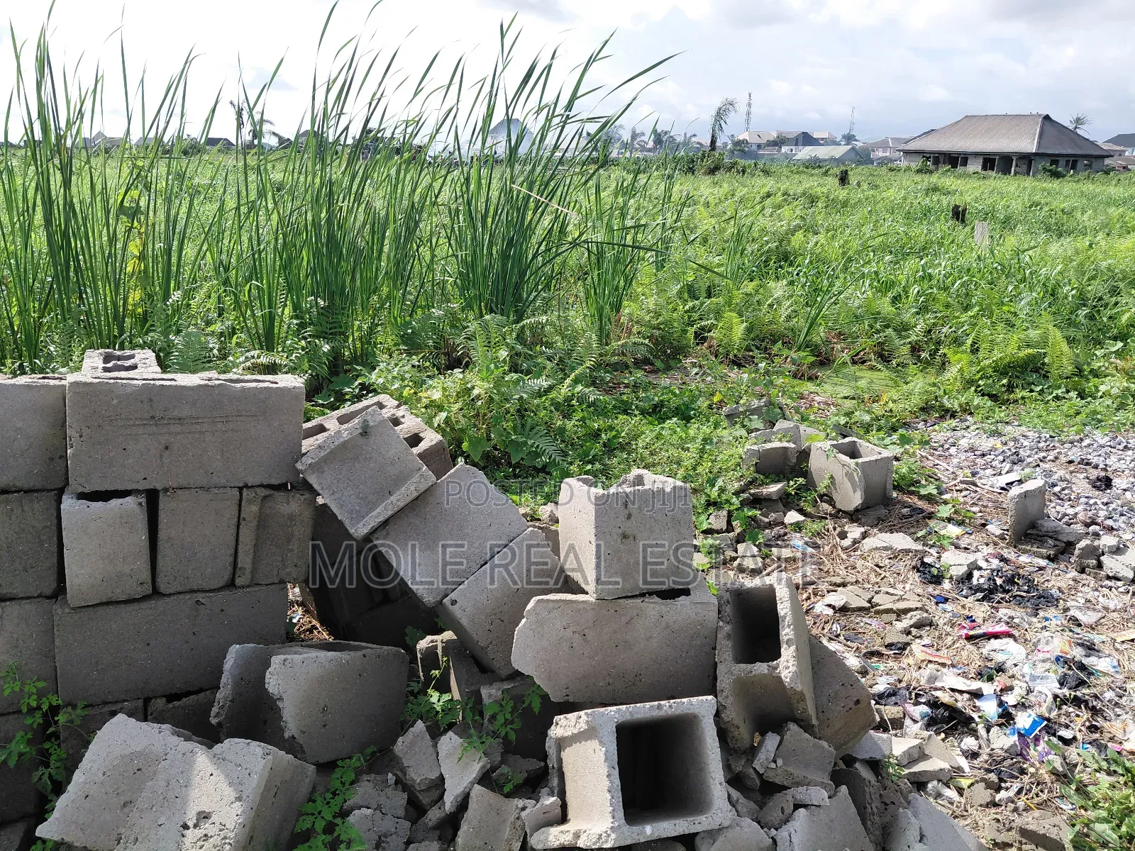 Two Plots Facing Lasu Iguand Road Olowonla Bustop