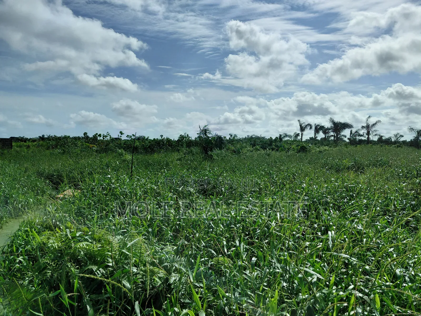 Full Plot Facing Ishefun Rd Ayobo Fenced Gated